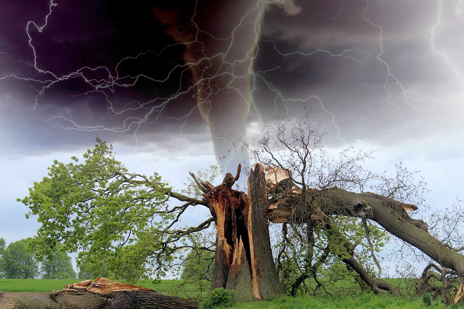 tornado season