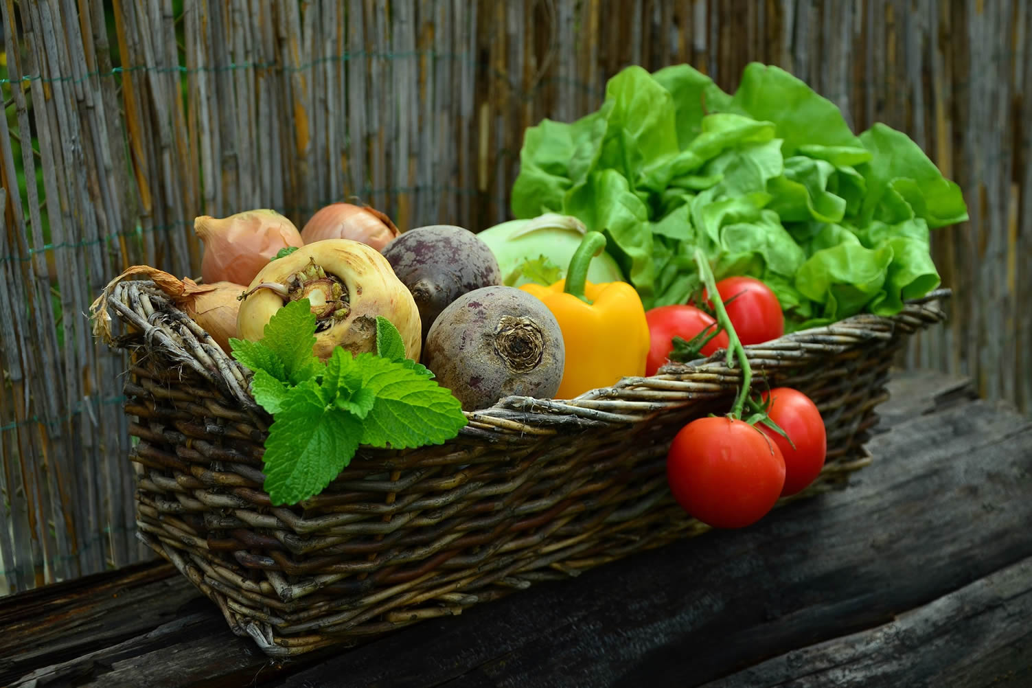 vegetable garden harvest