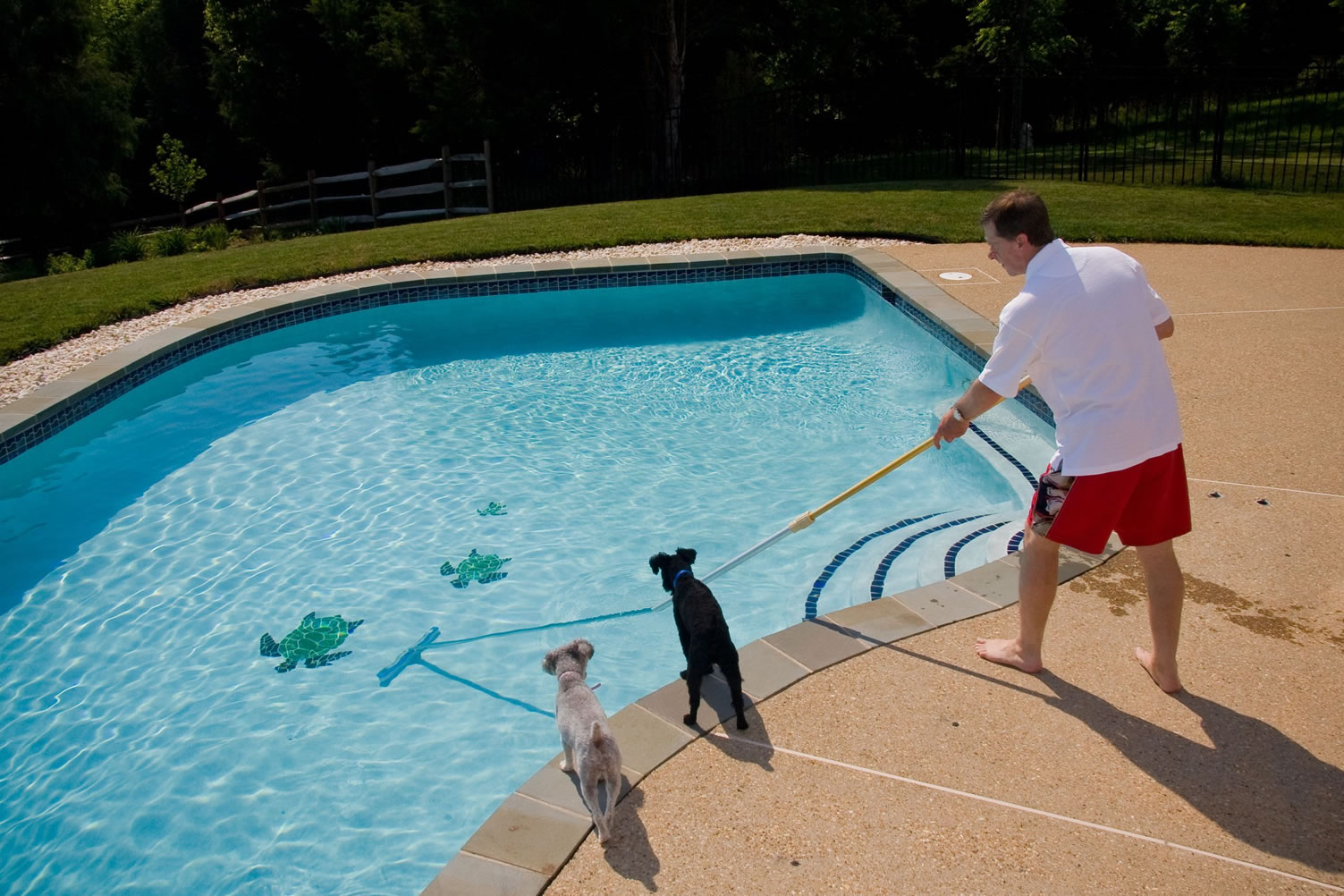 small swimming pool