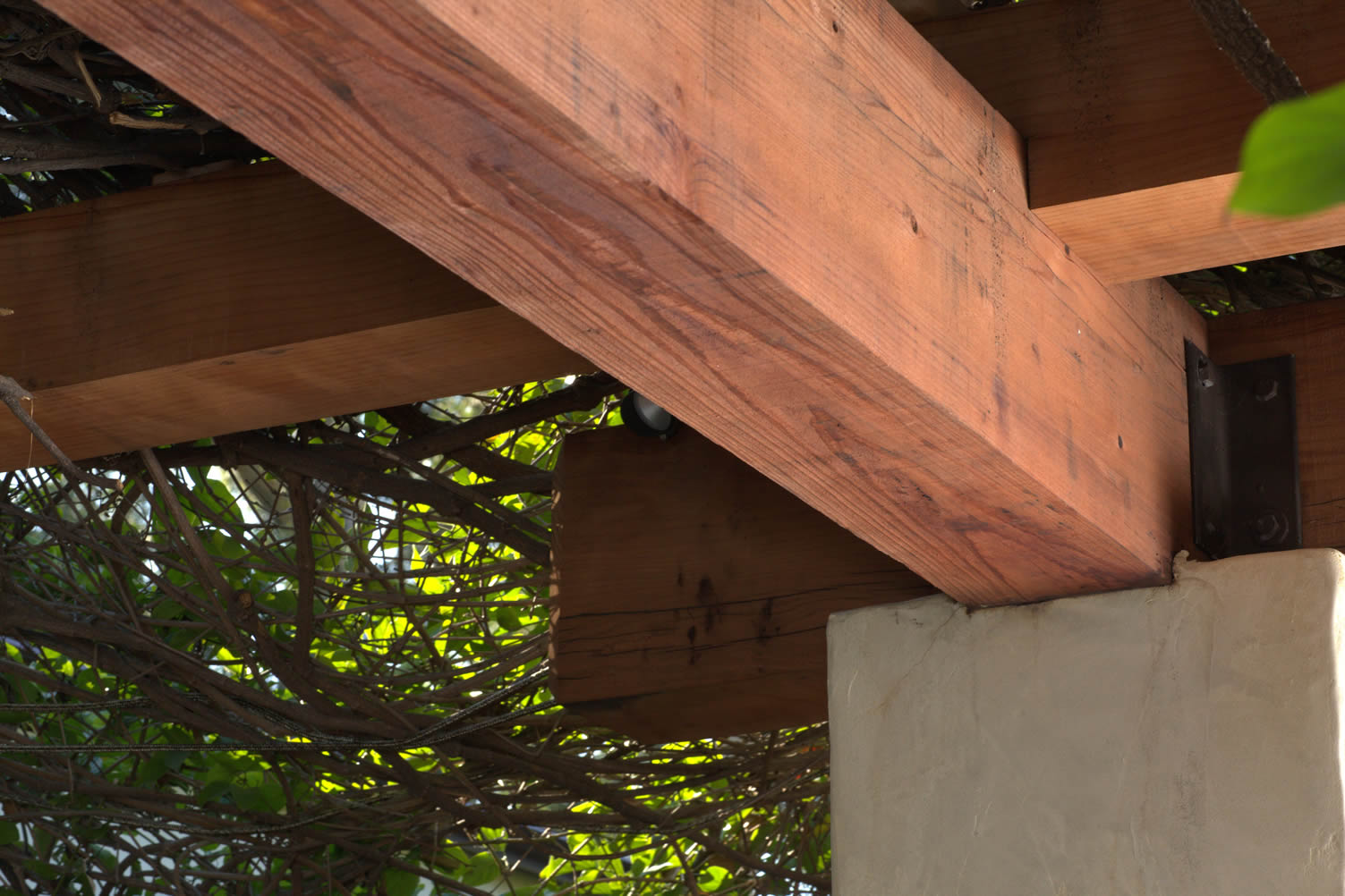 pergola