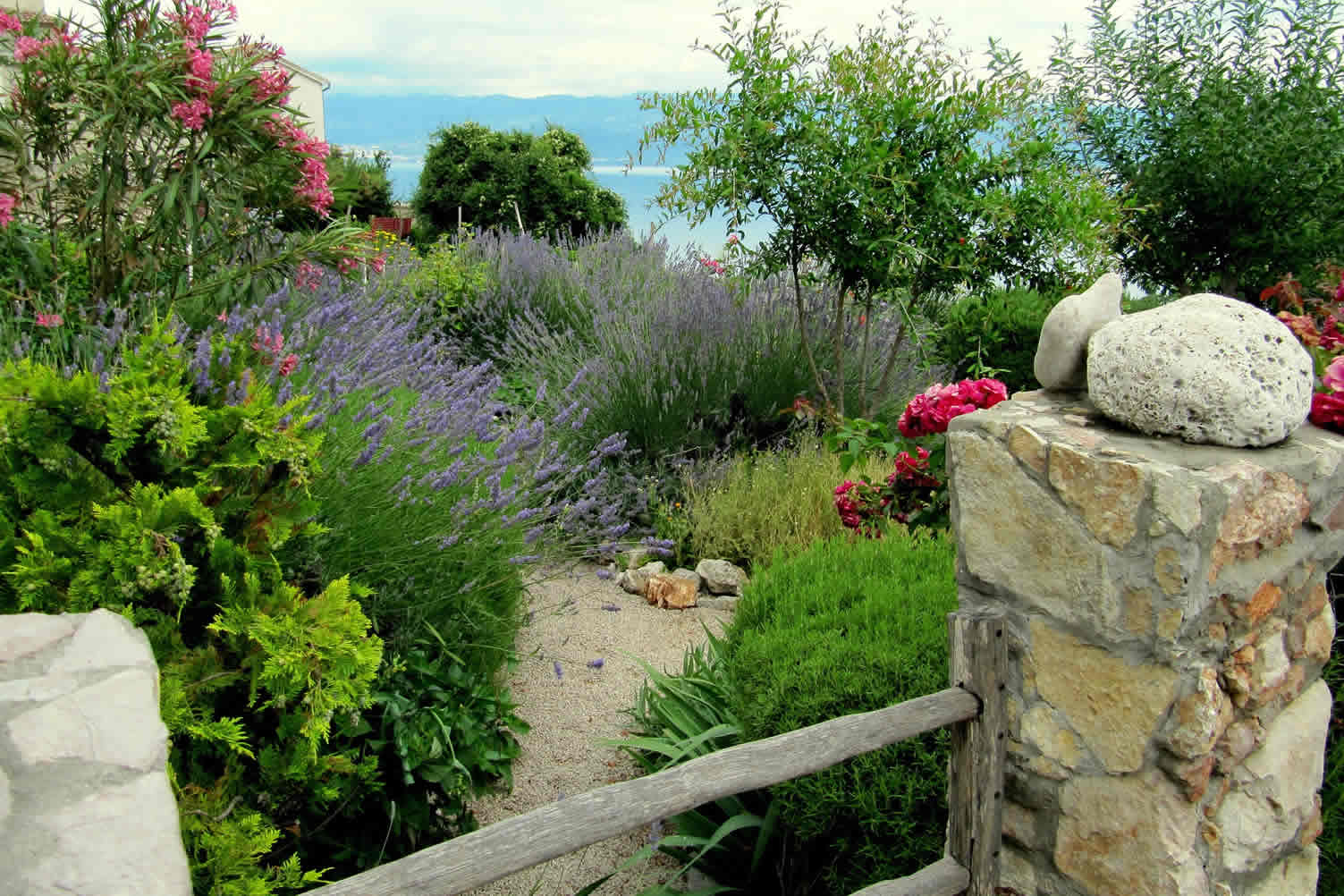 Mediterranean Garden