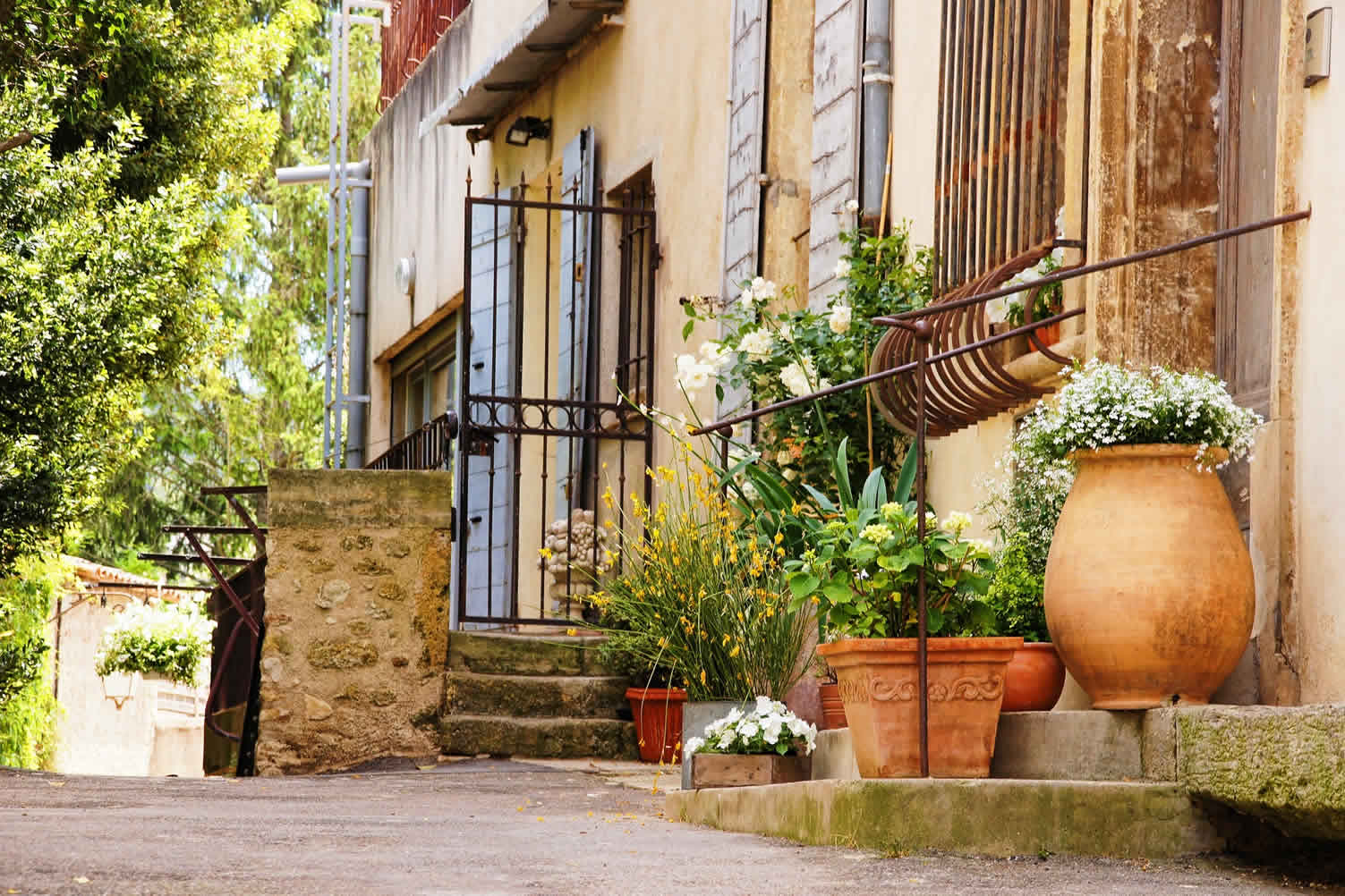 Mediterranean Garden