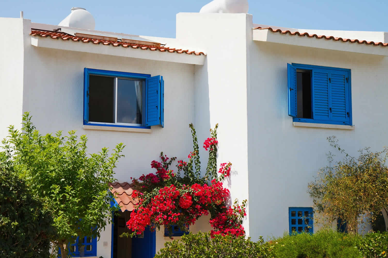 Mediterranean Garden