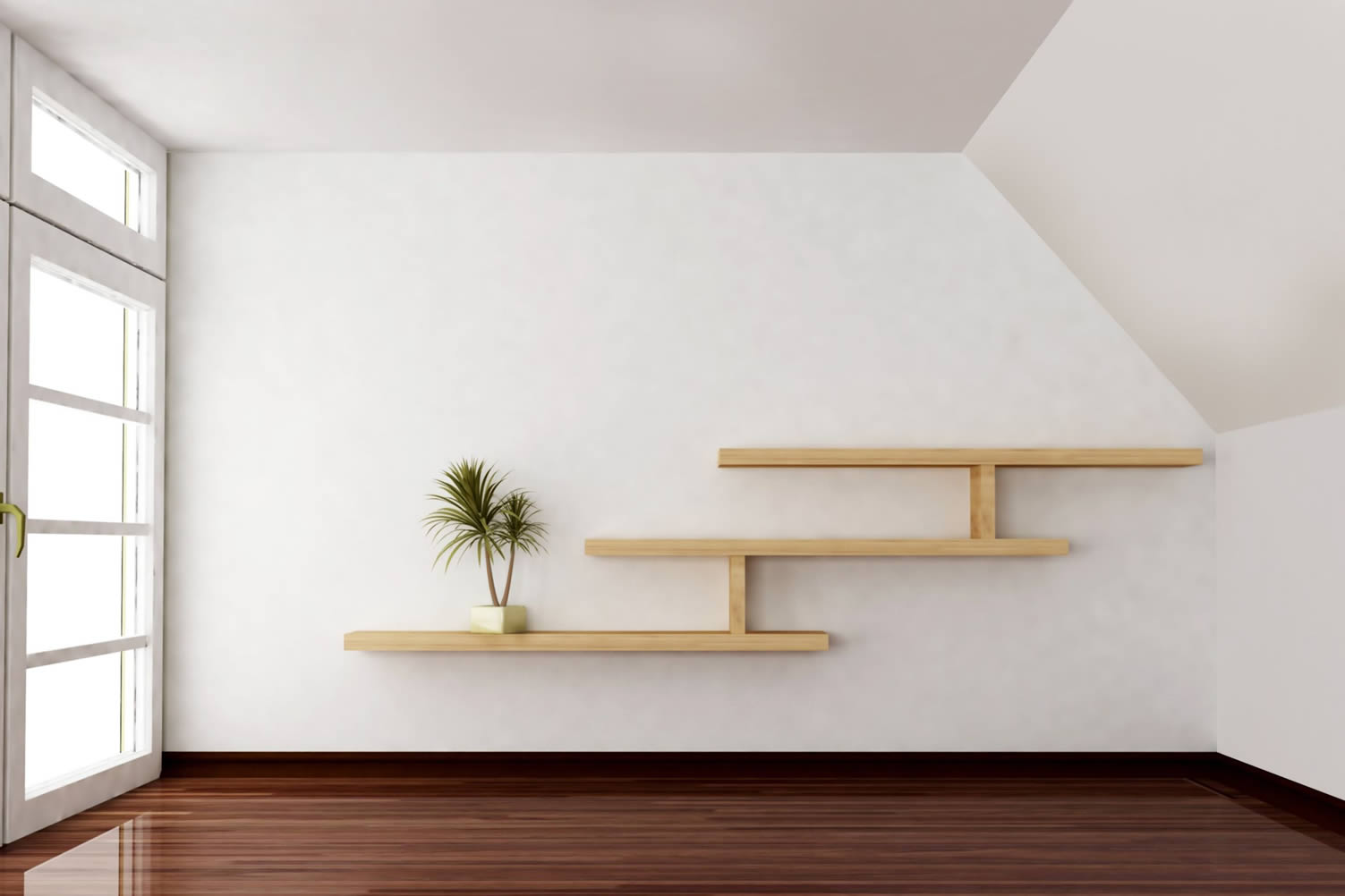 displaying house plants
