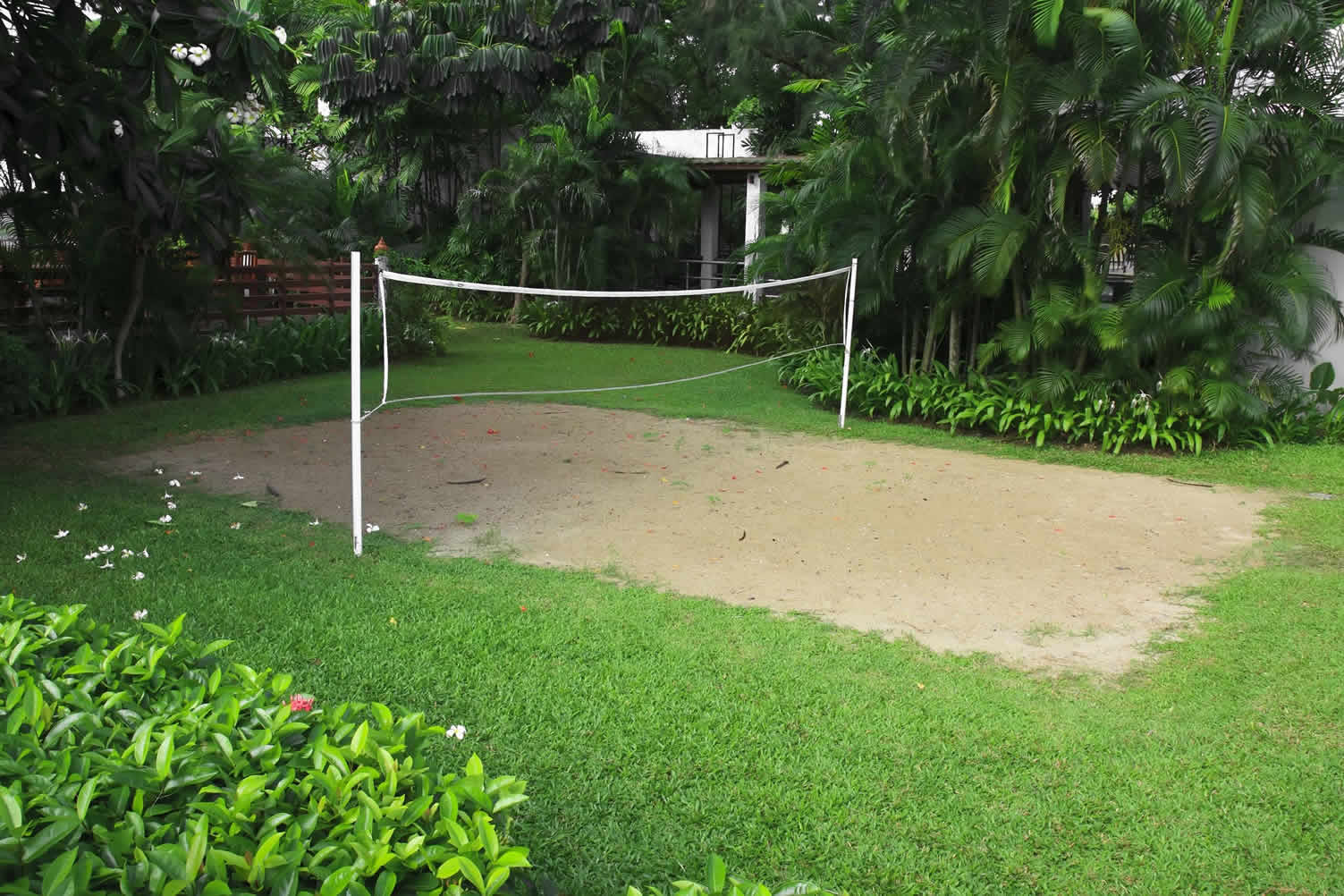 lawn games