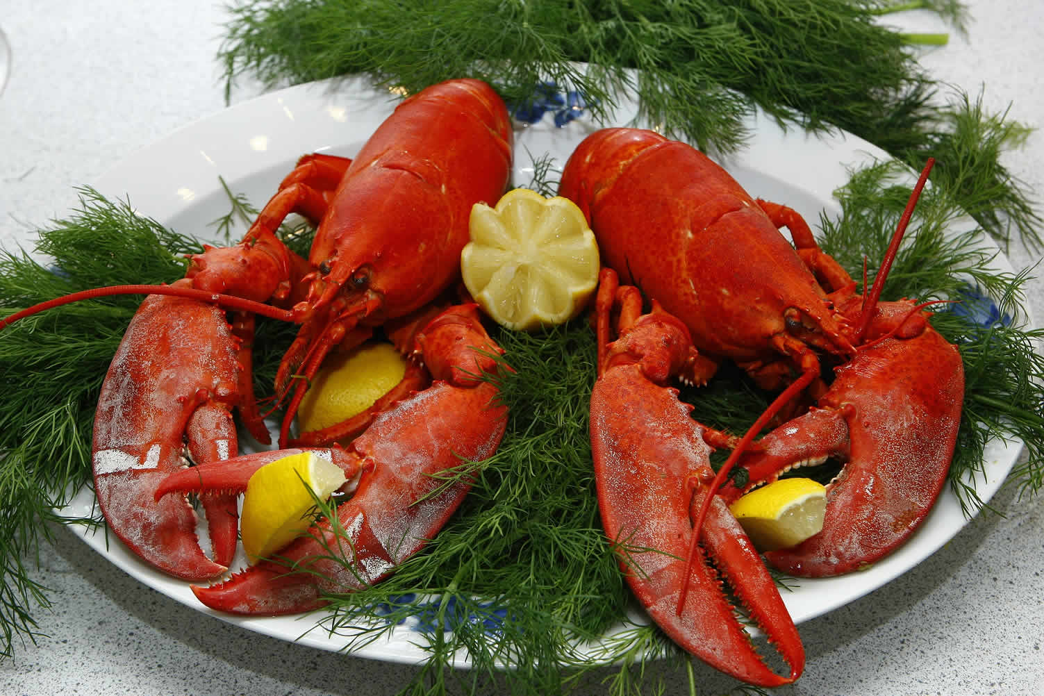 seafood tonight