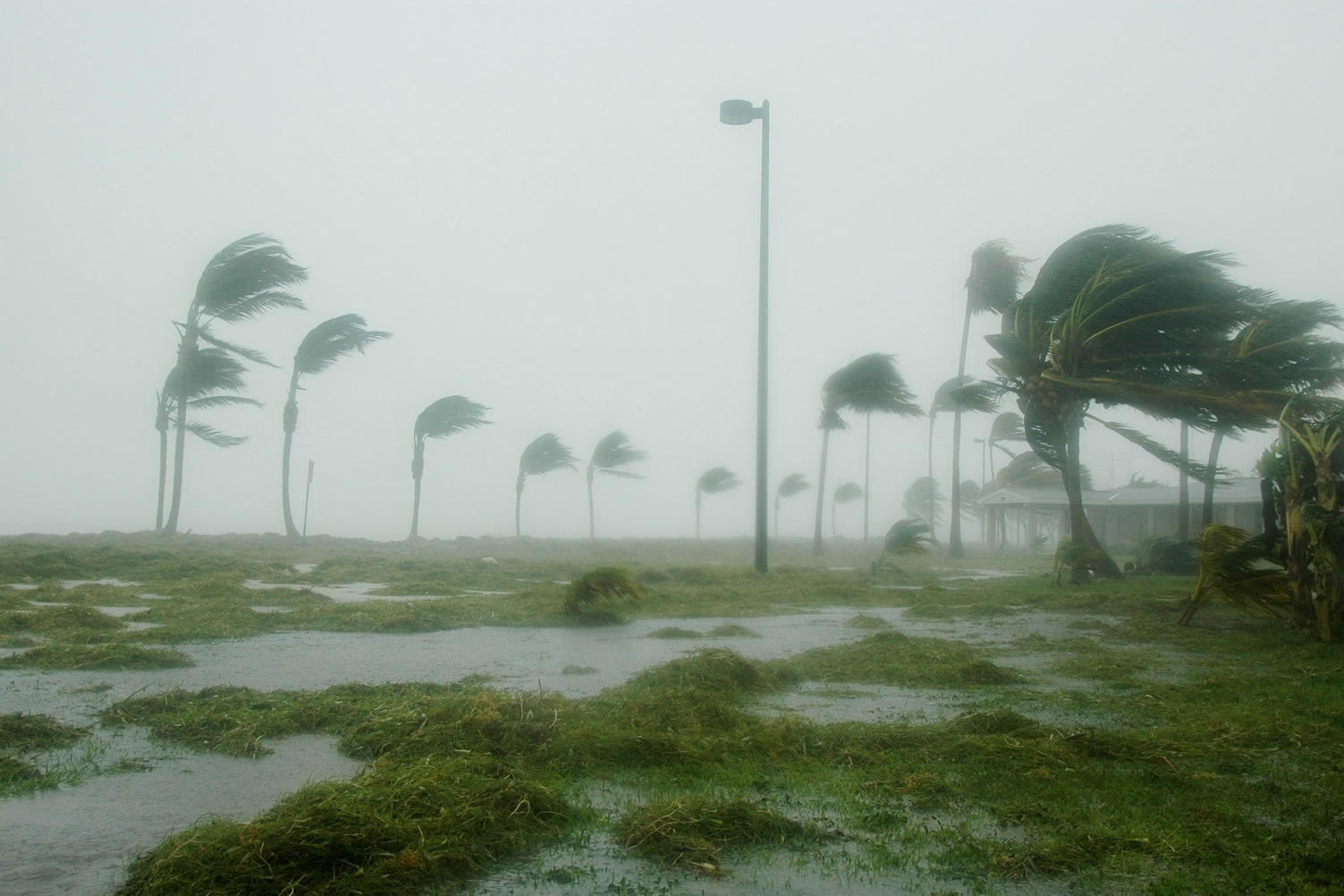 hurricane storm