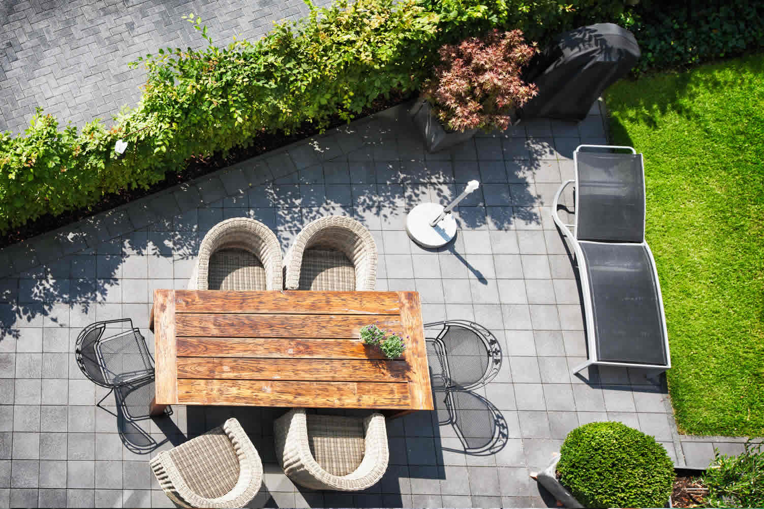 urban gardening
