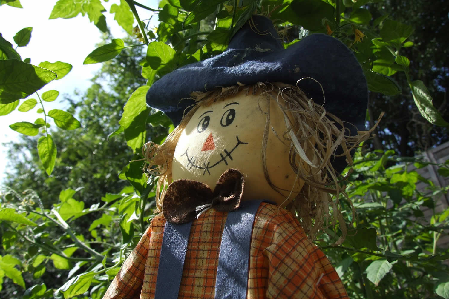 scarecrow