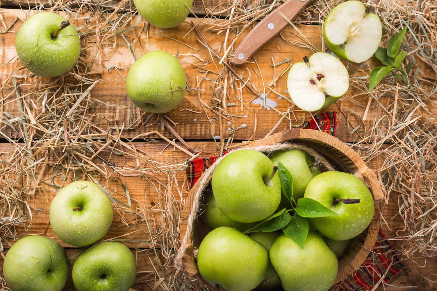apple harvest