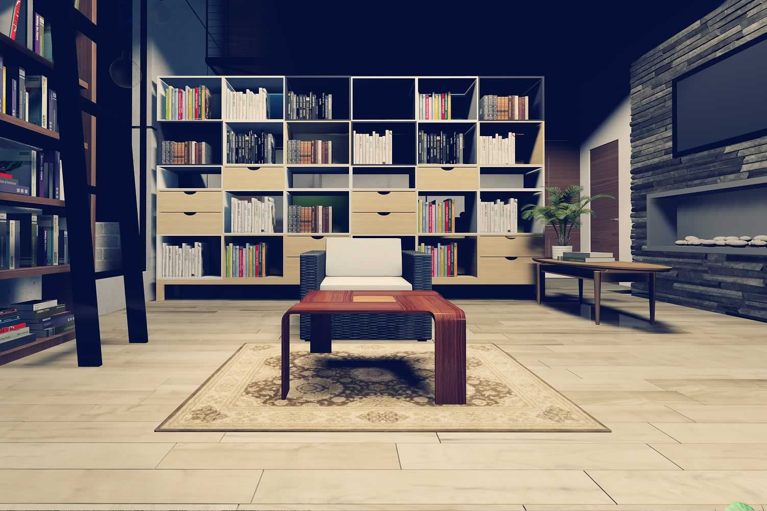 den area rug