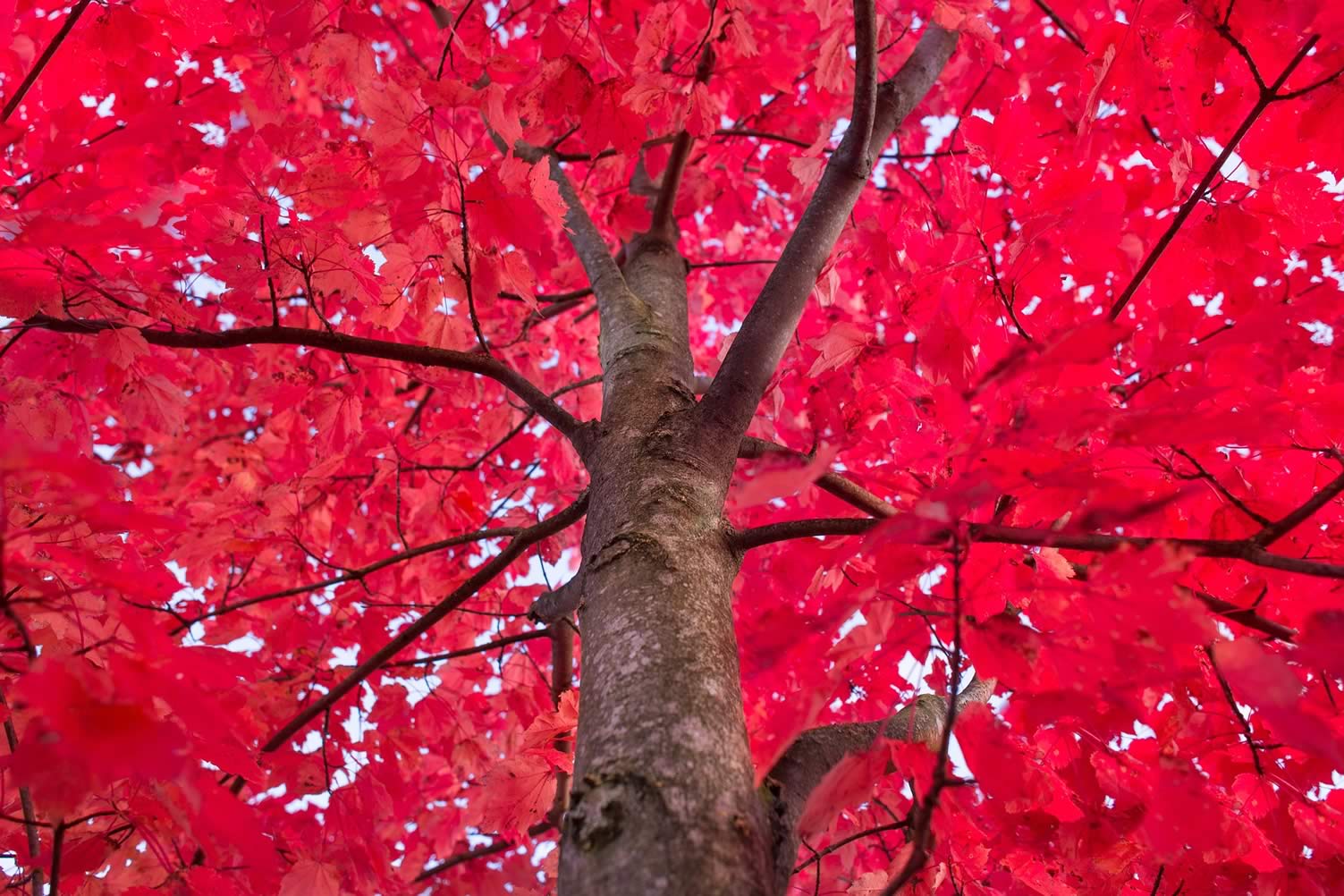fall season begins