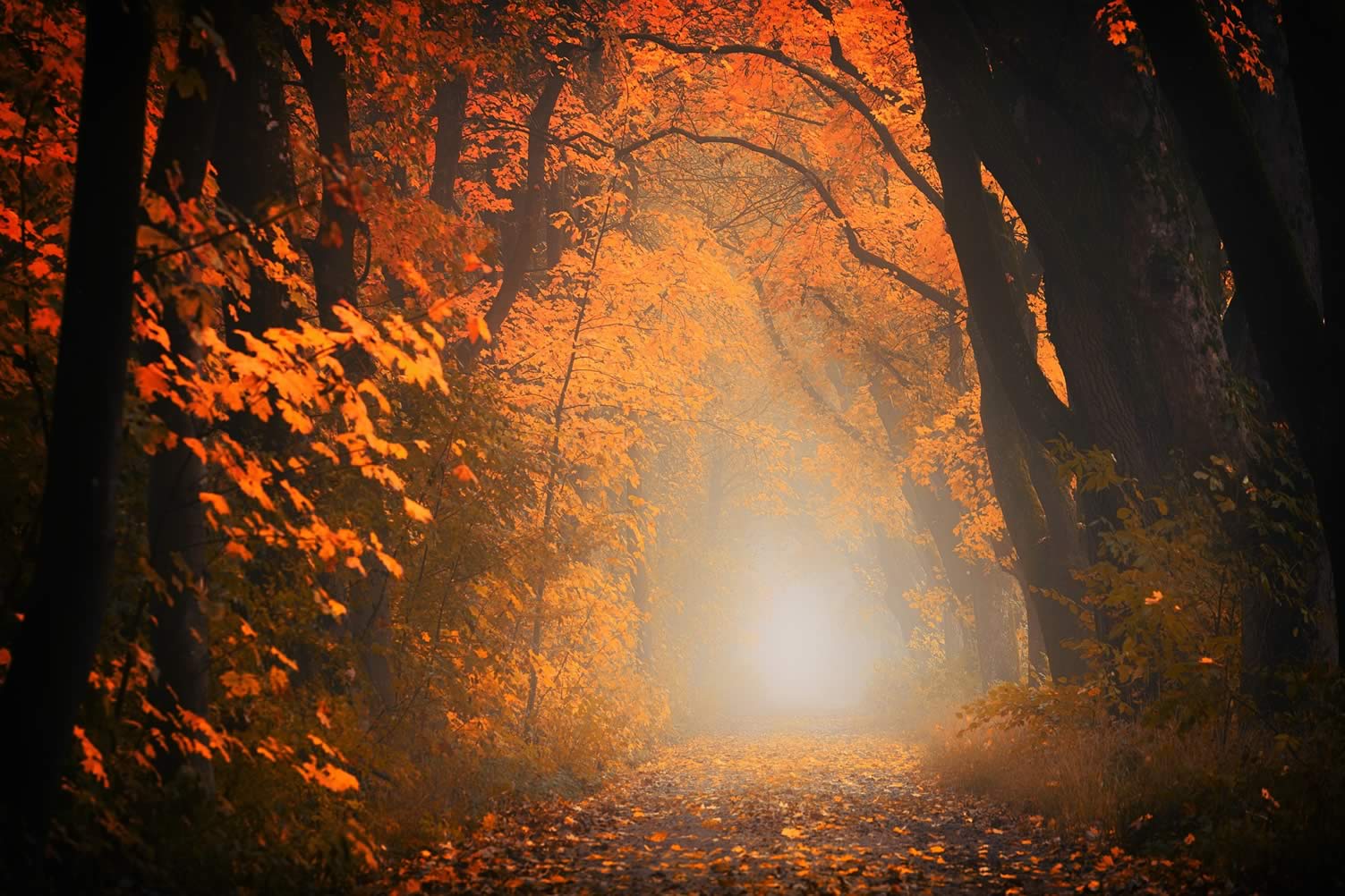 fall season begins