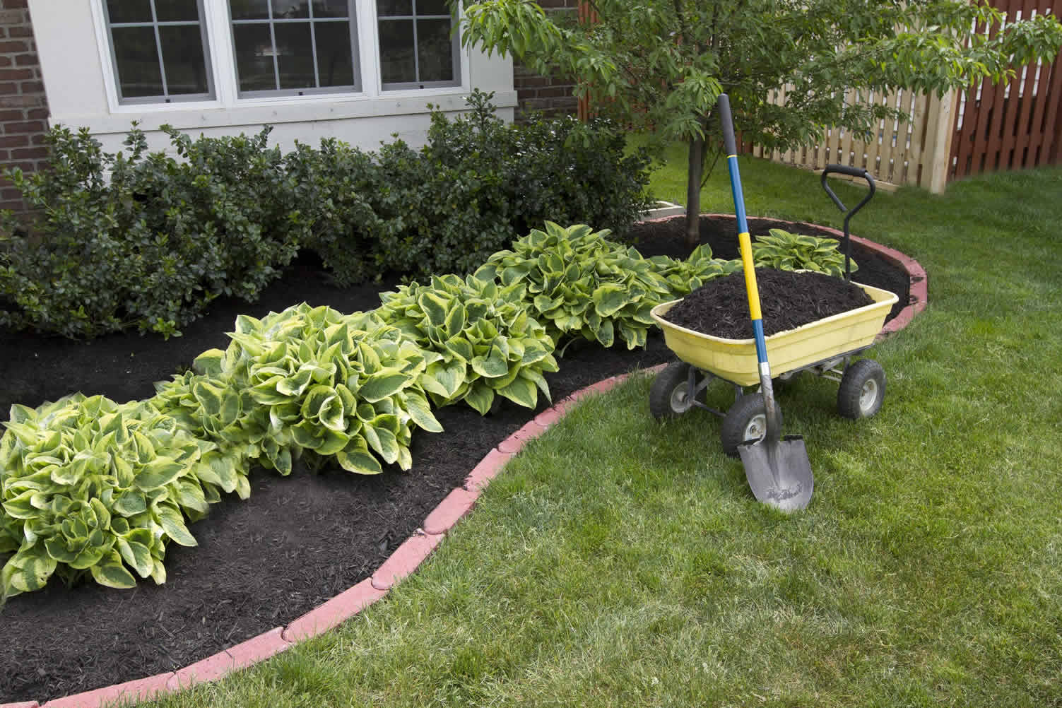 garden spring fixes