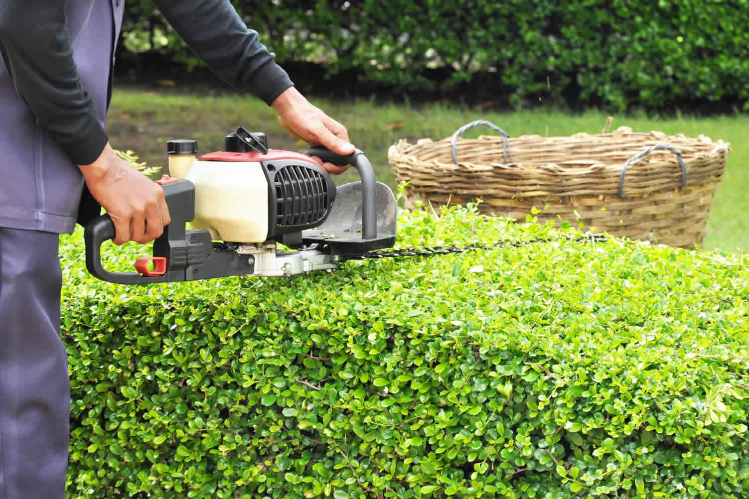 garden spring fixes