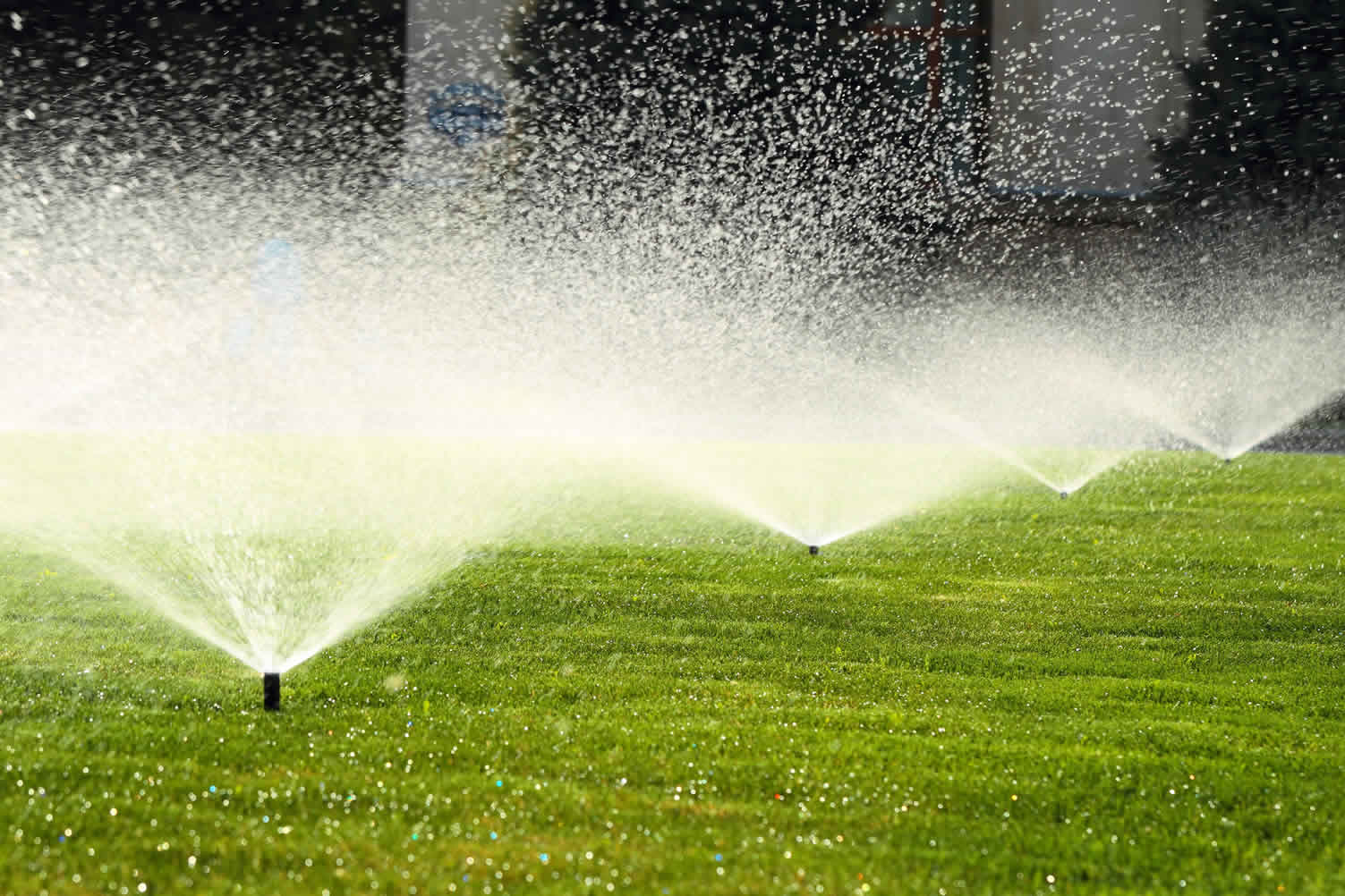 garden spring fixes