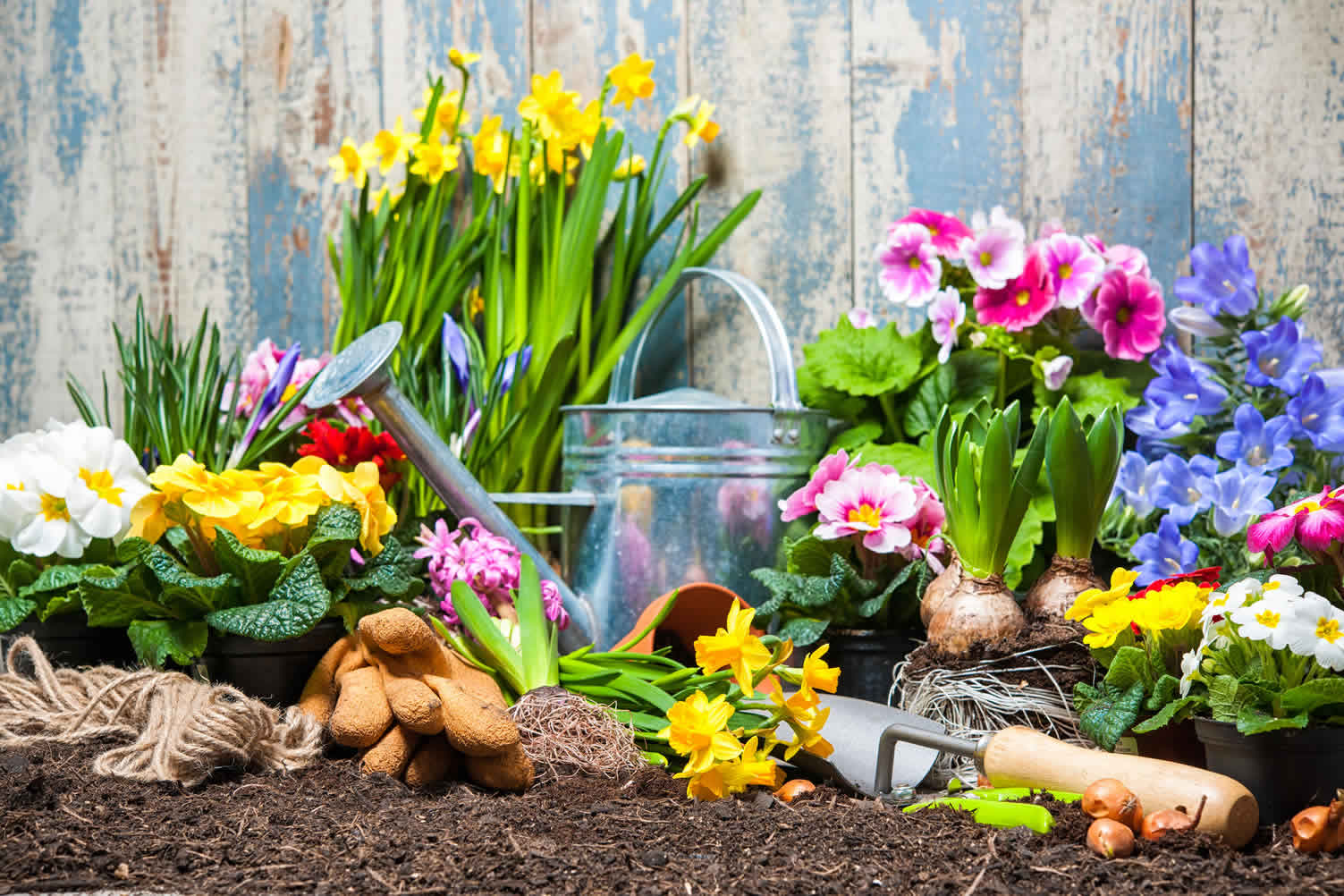 garden spring fixes