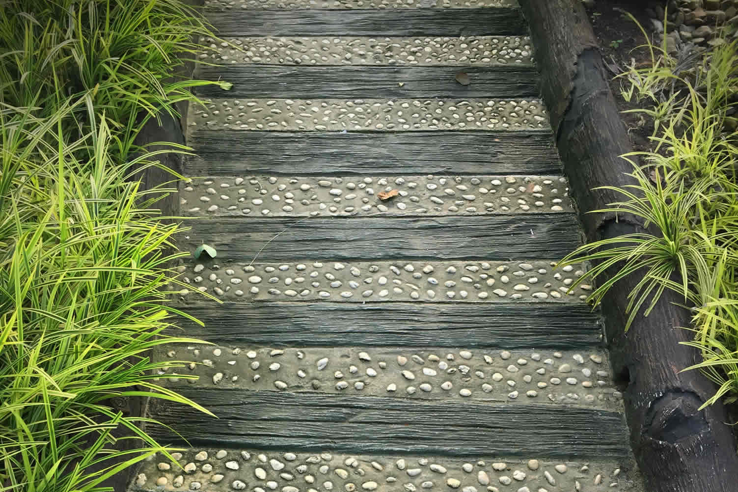 garden pathway