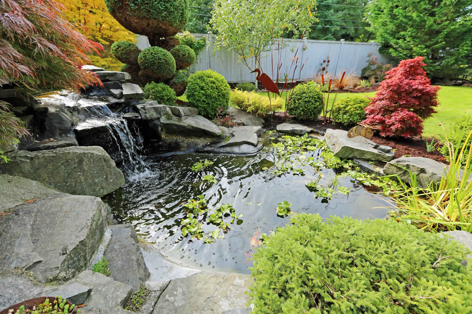 pond landscaping ideas