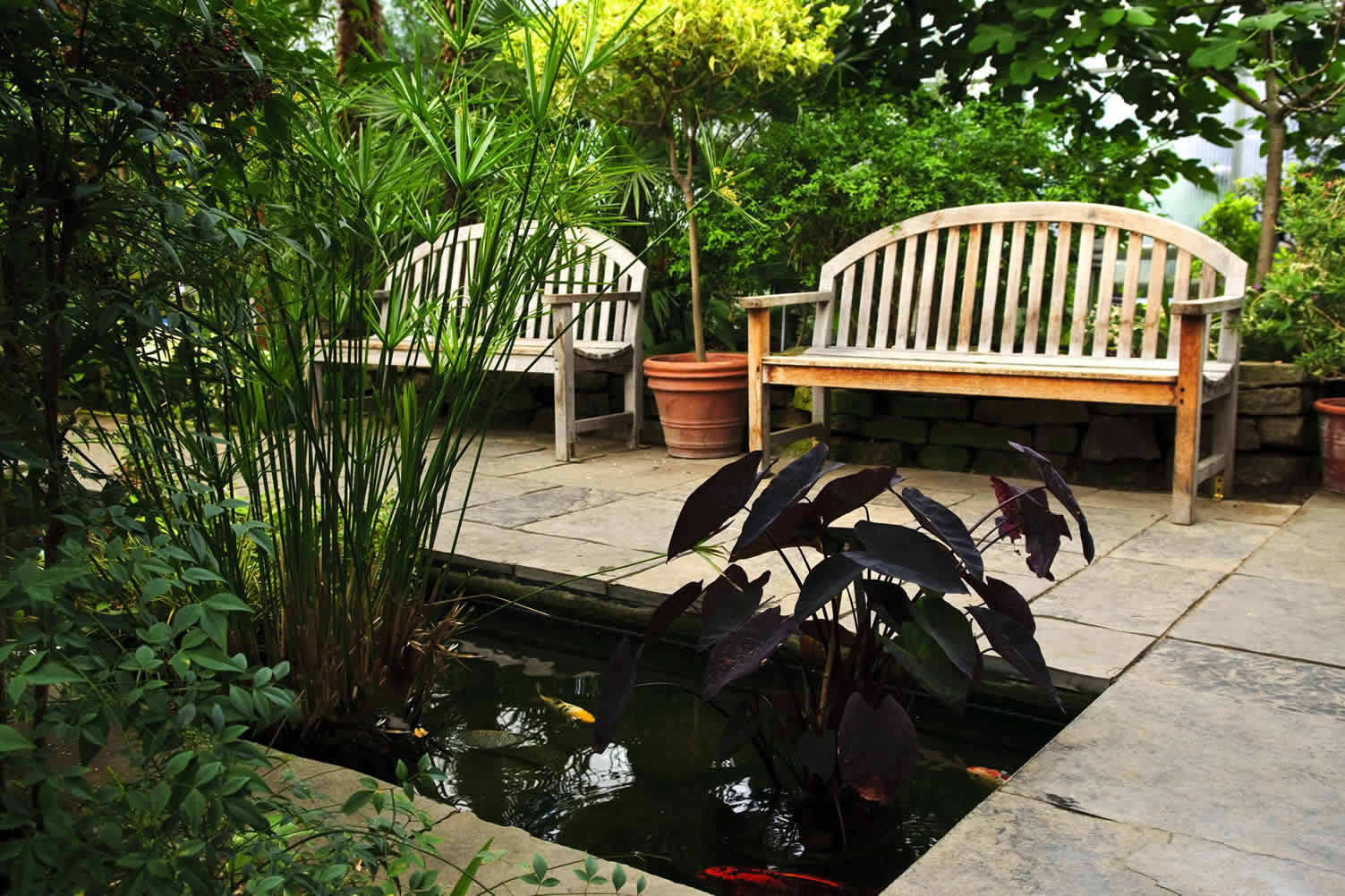 pond landscaping ideas