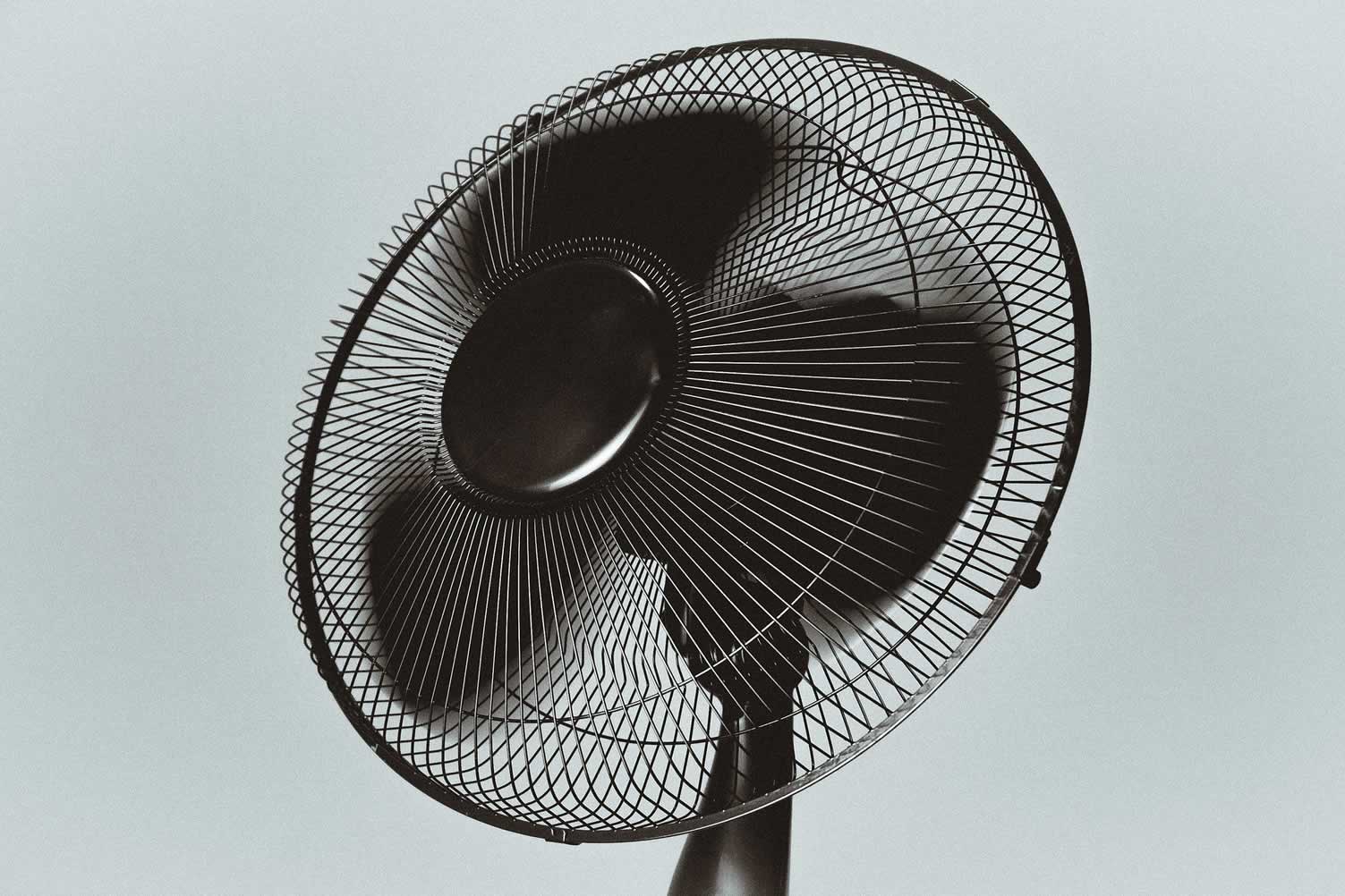 table fans