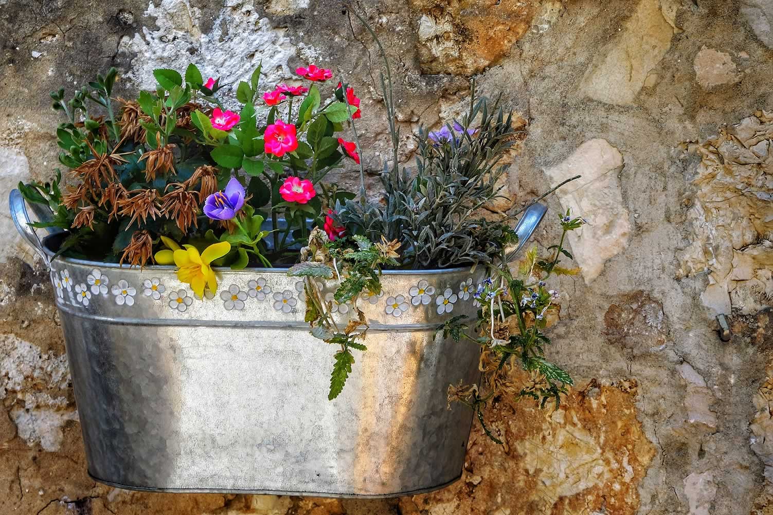 wall floral container