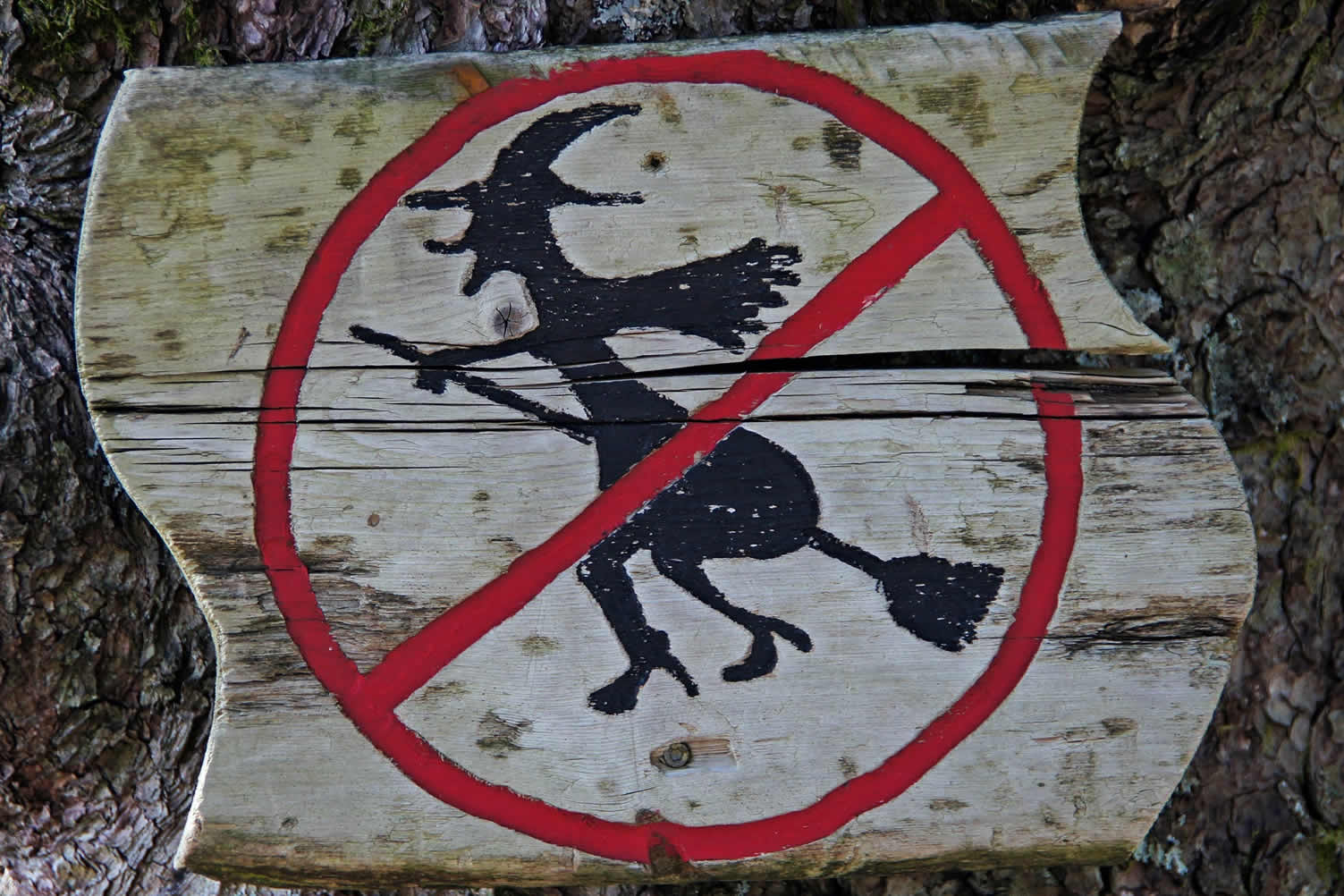 about witches
