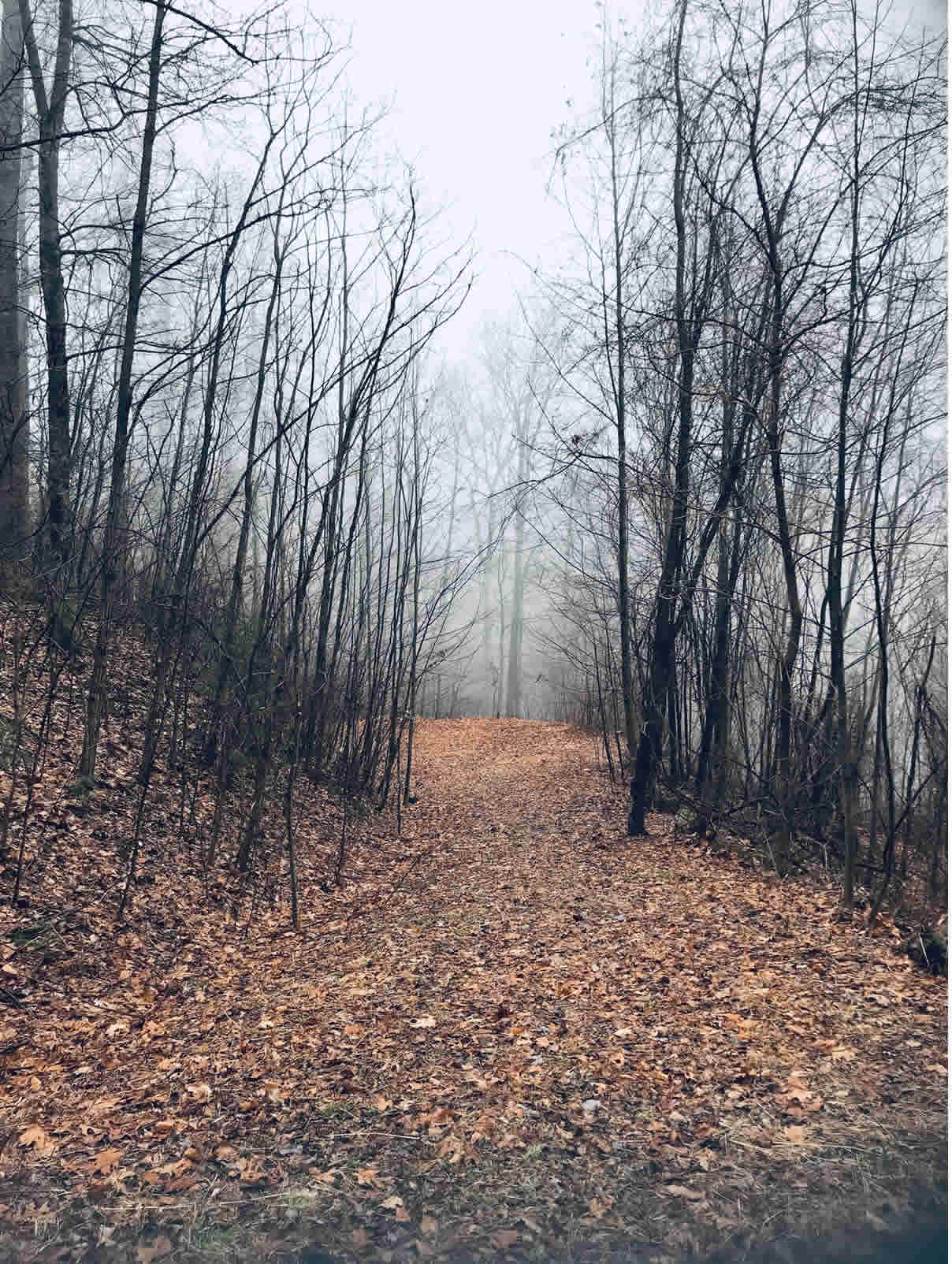 Sleepy Hollow