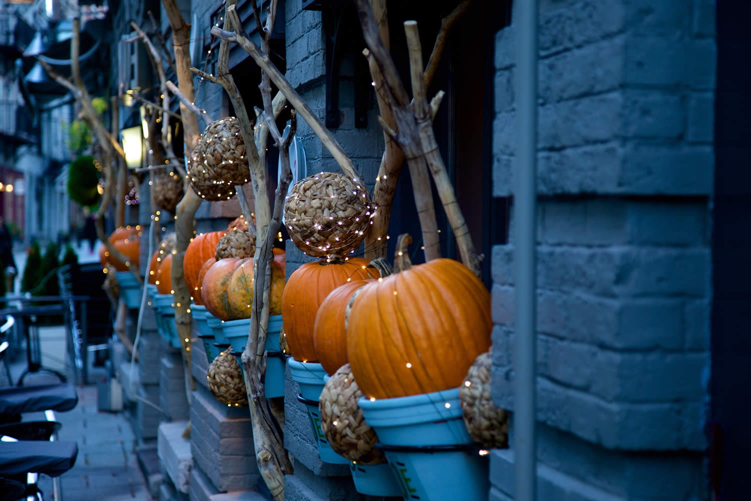 pumpkins for halloween