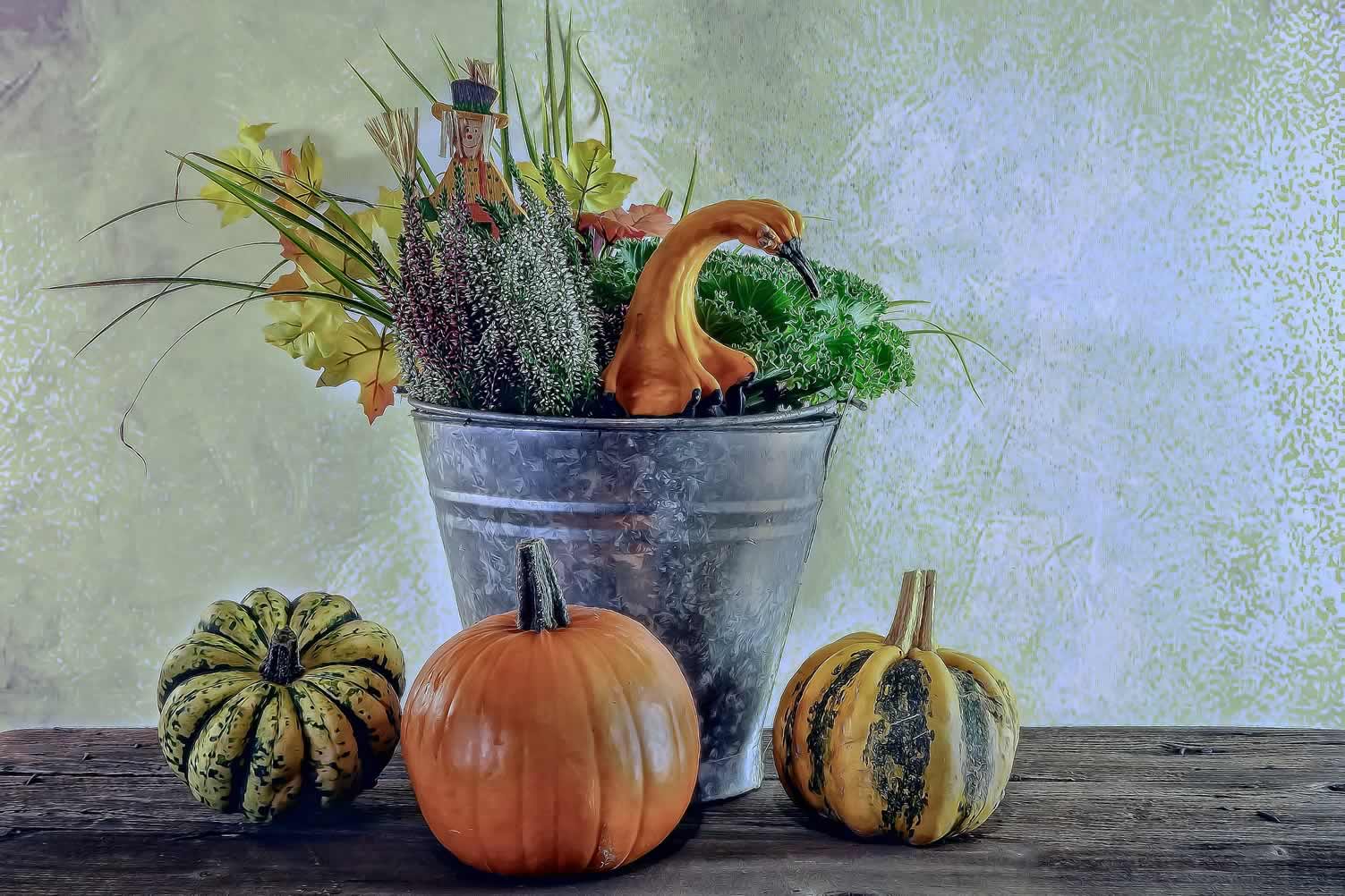 Thanksgiving Harvest