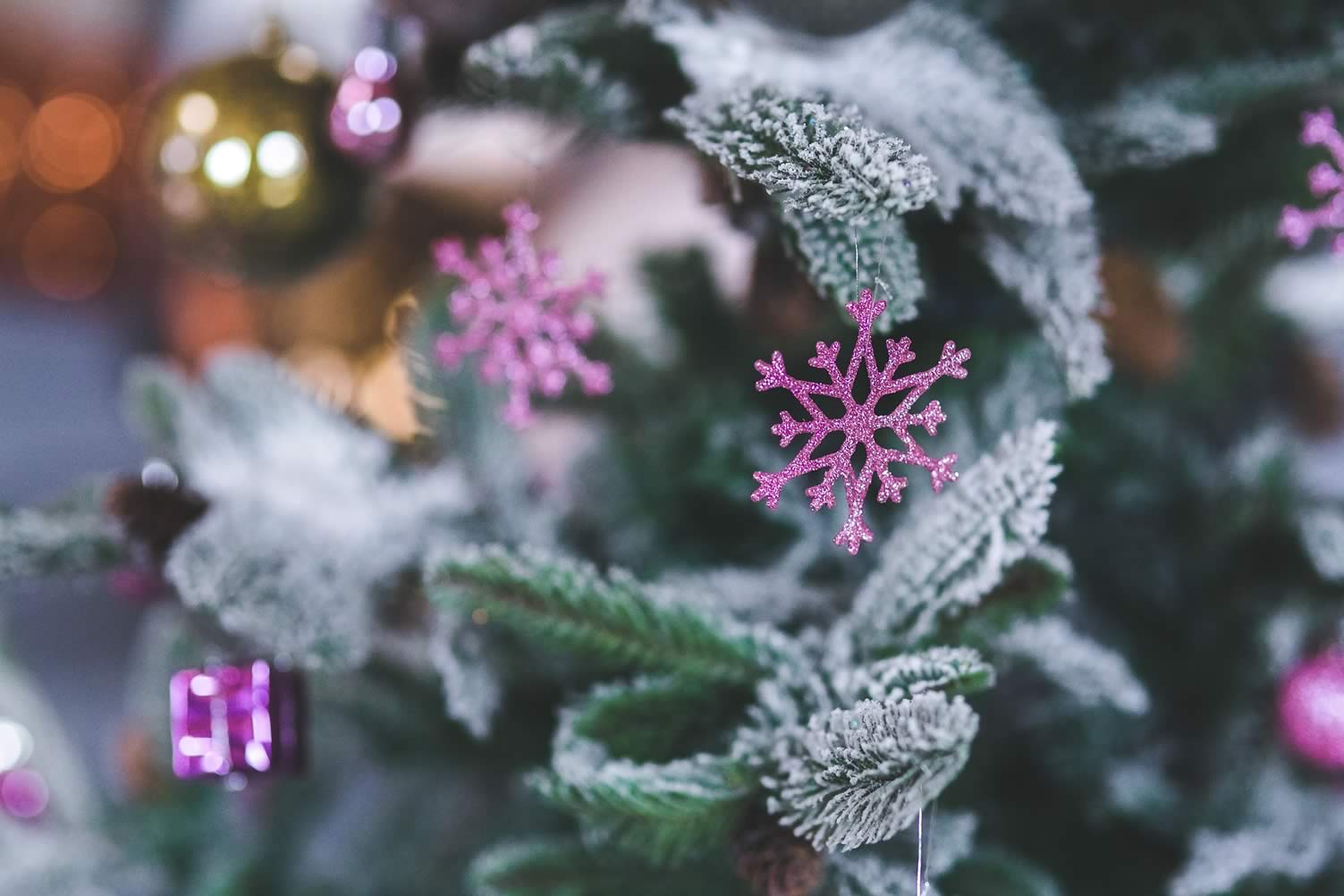 decorate christmas tree