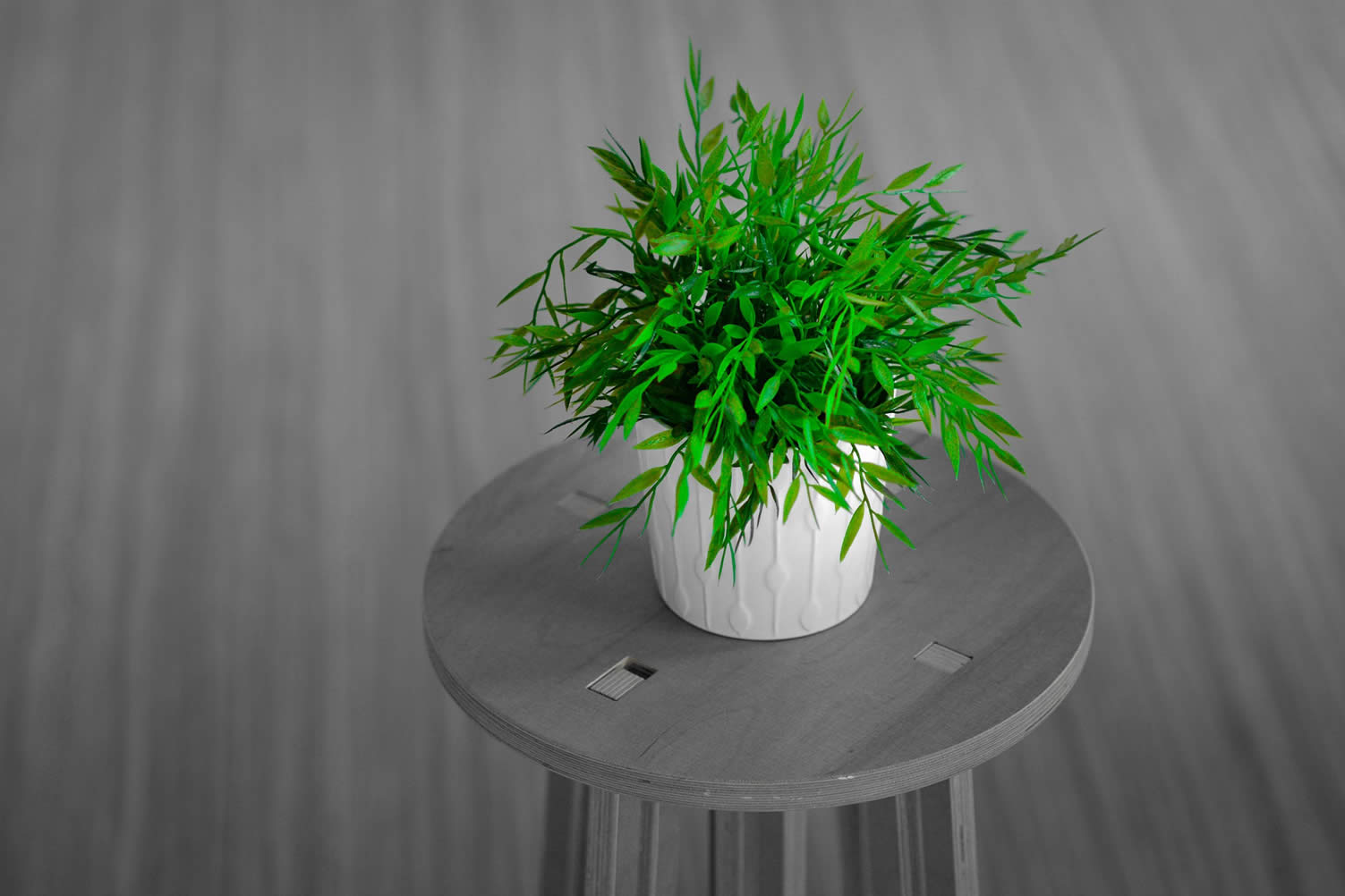 indoor gardening