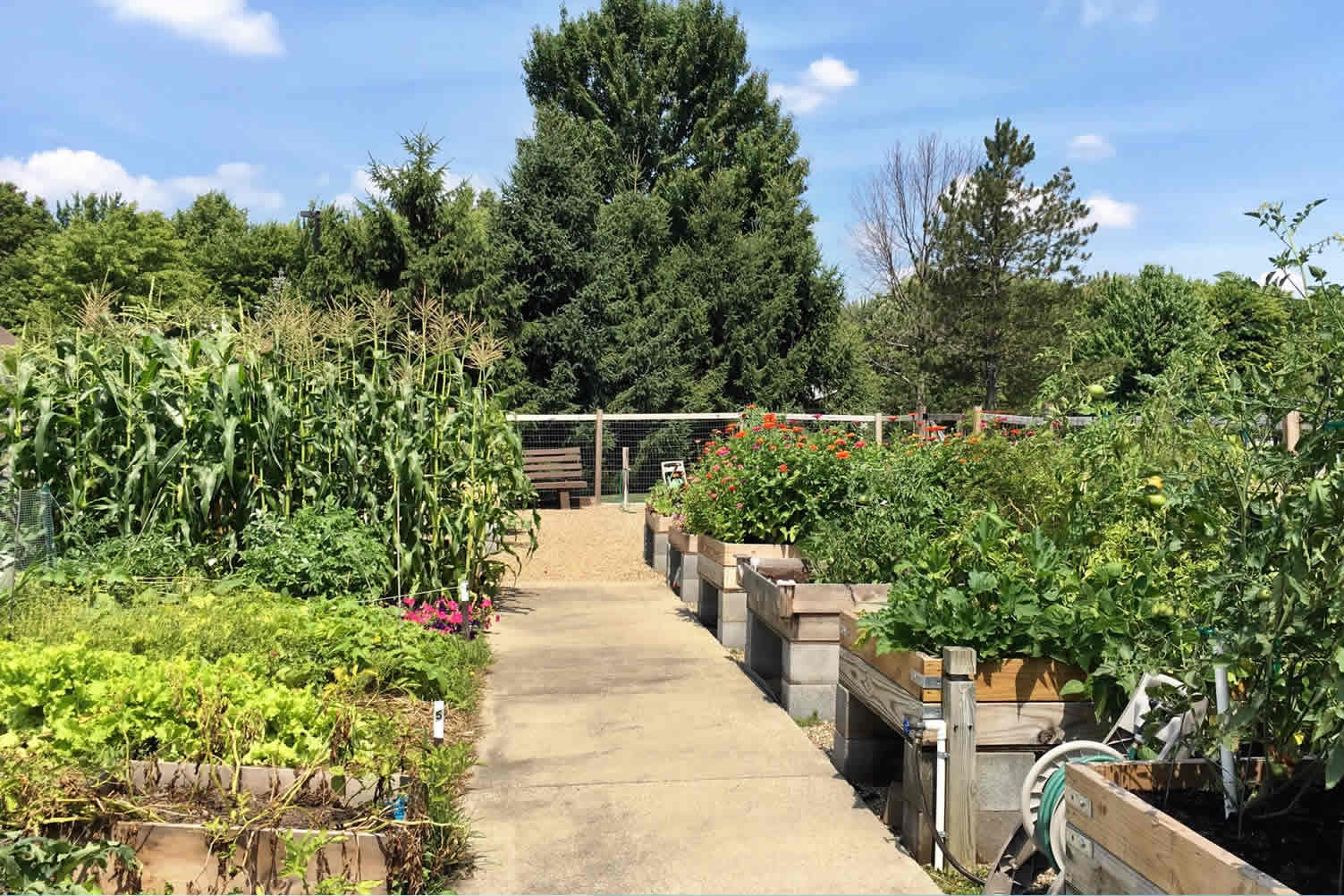 spring planting