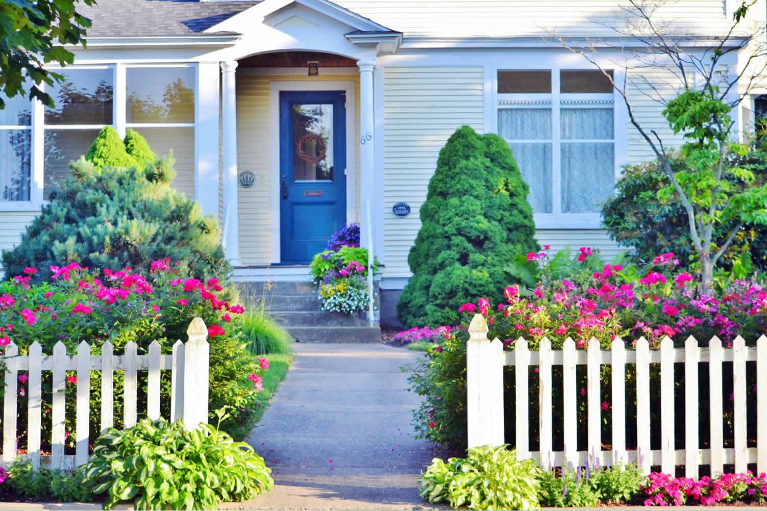 spring planting