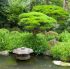Water Features For Your Garden Water Features For Your Garden