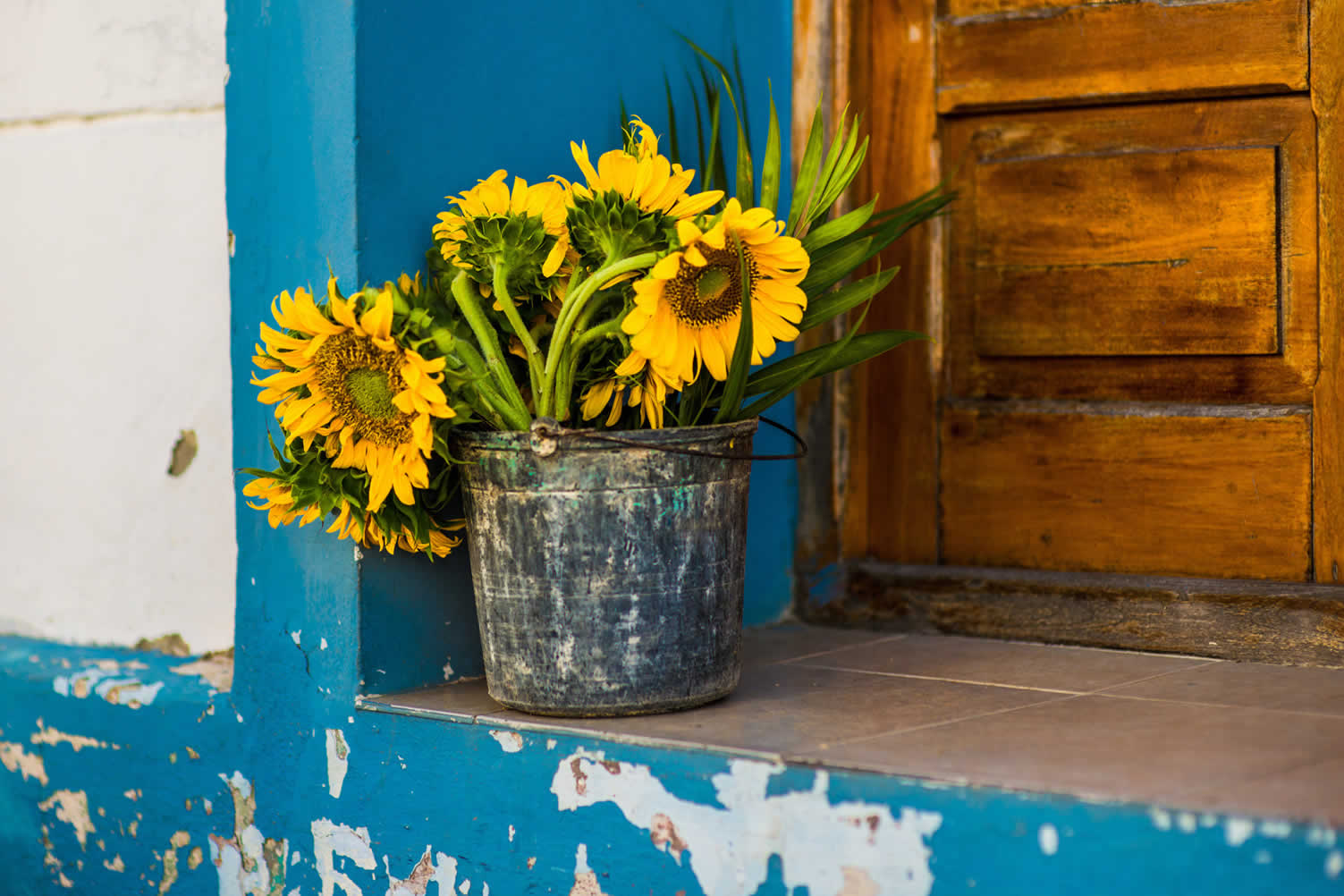 DIY home projects