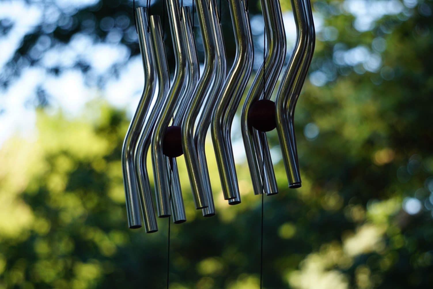 garden decor tips
