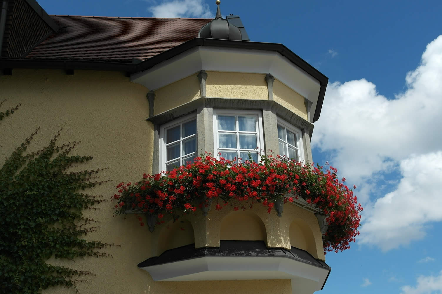 window options