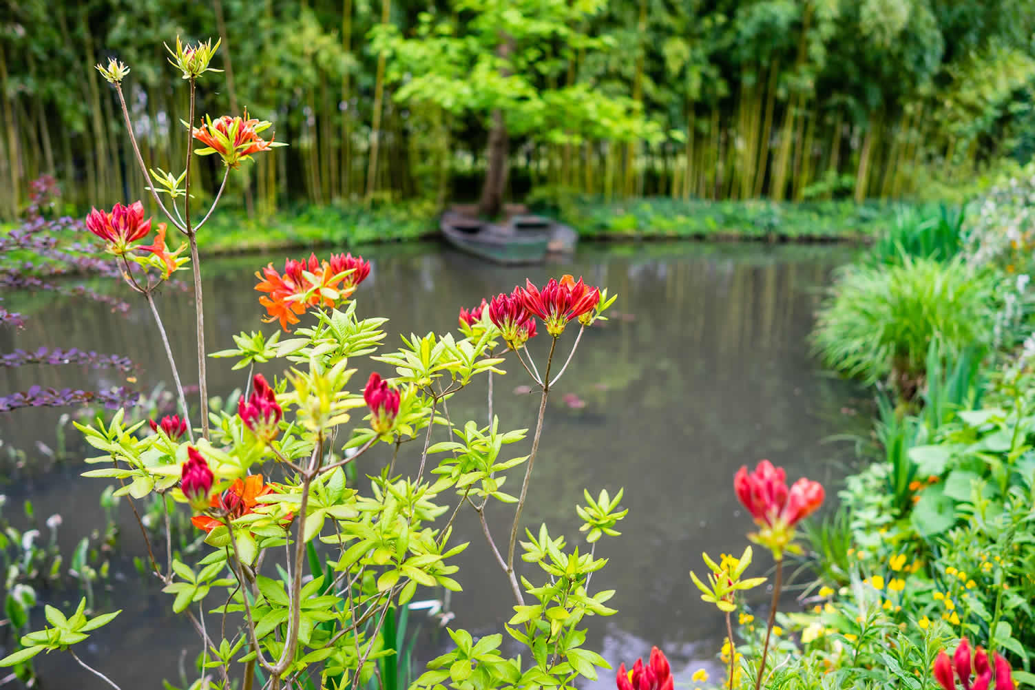 best landscape gardens