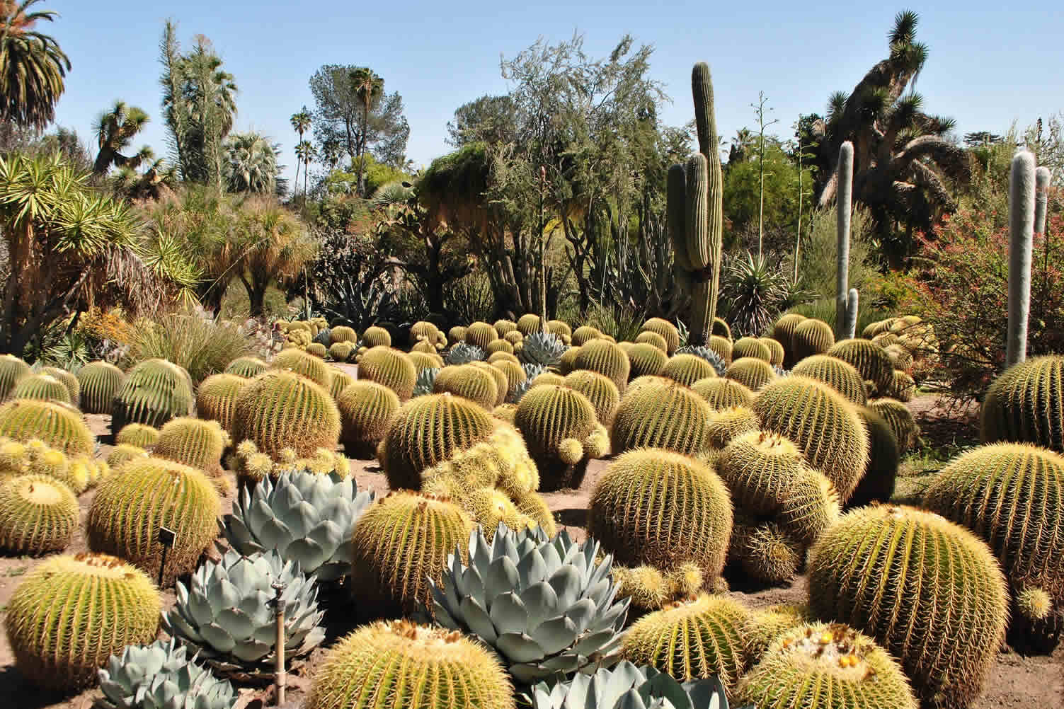 best landscape gardens
