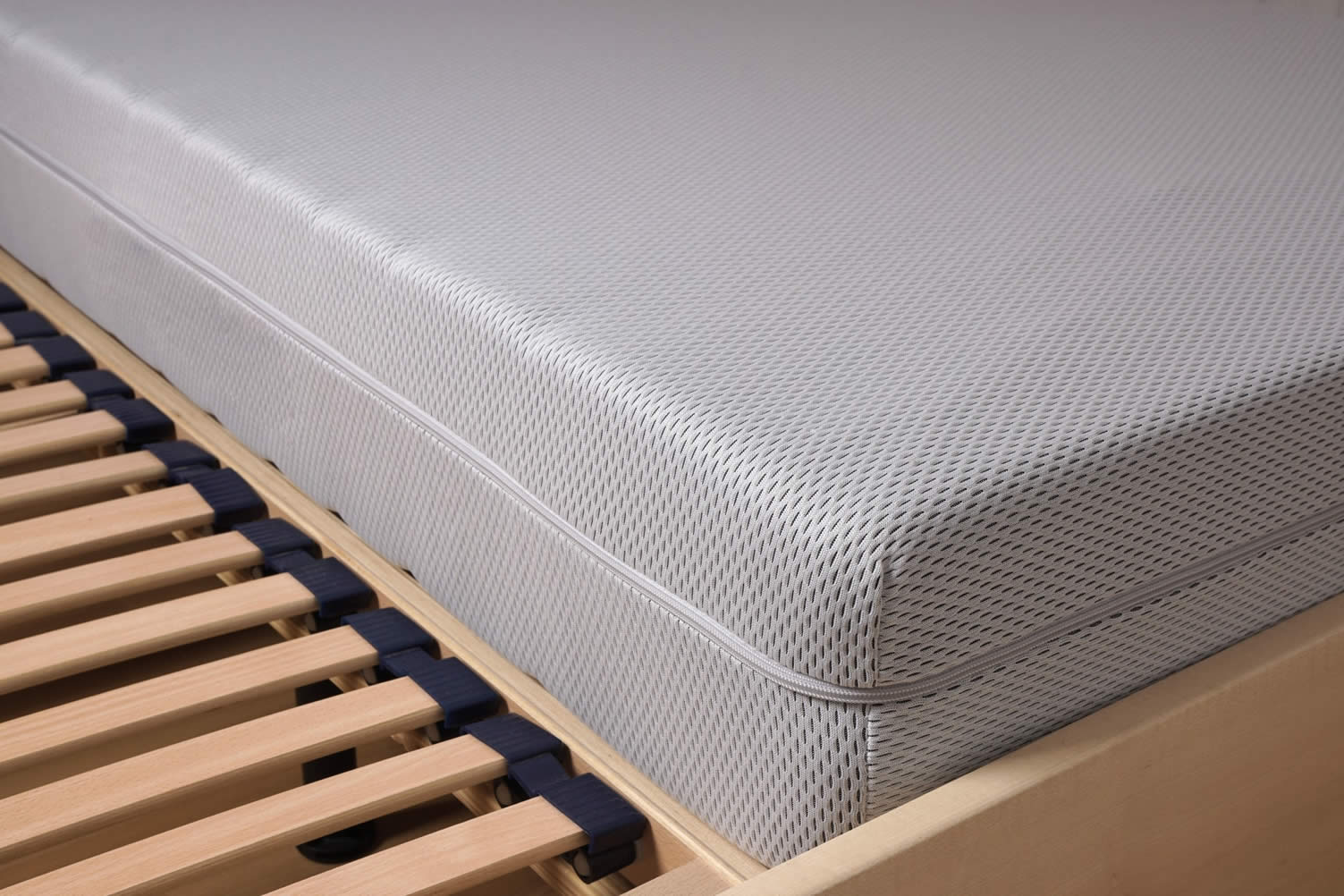 bed bug cleaning