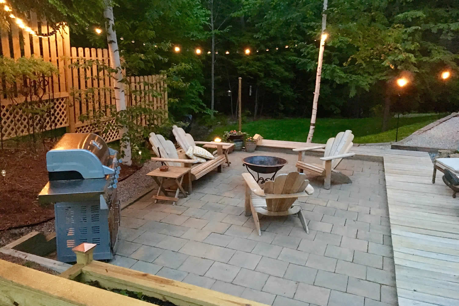 backyard mosquito
