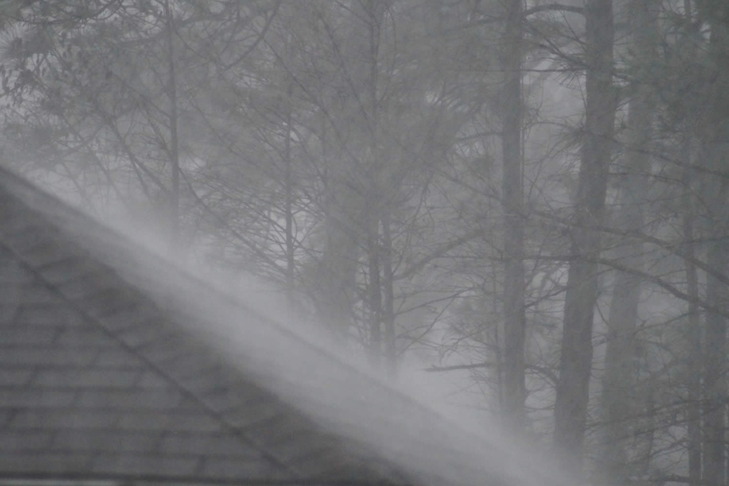 common roof problems