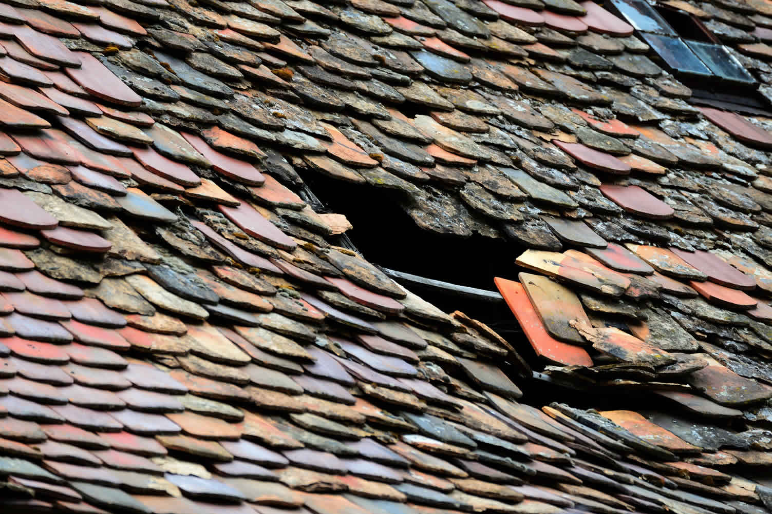 common roof problems