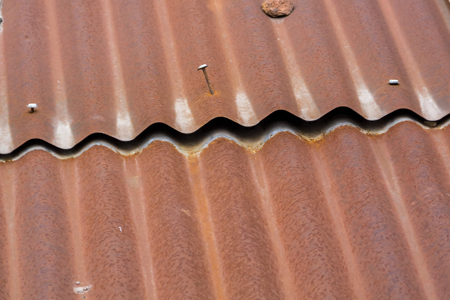 common roof problems