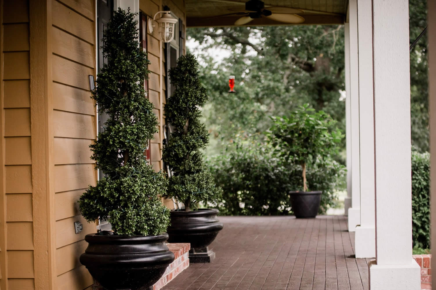 using artificial plants