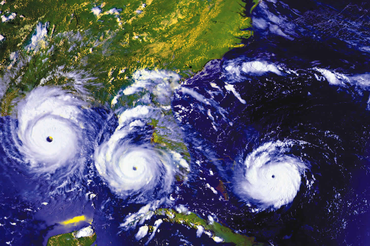 hurricane ready