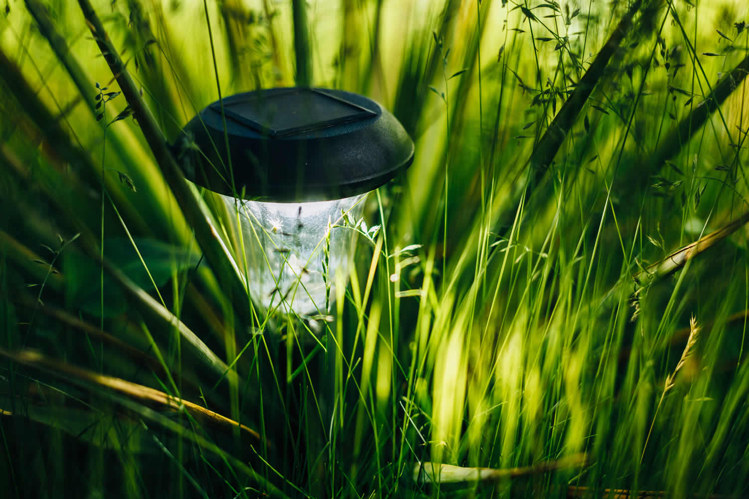 using solar lights for your home
