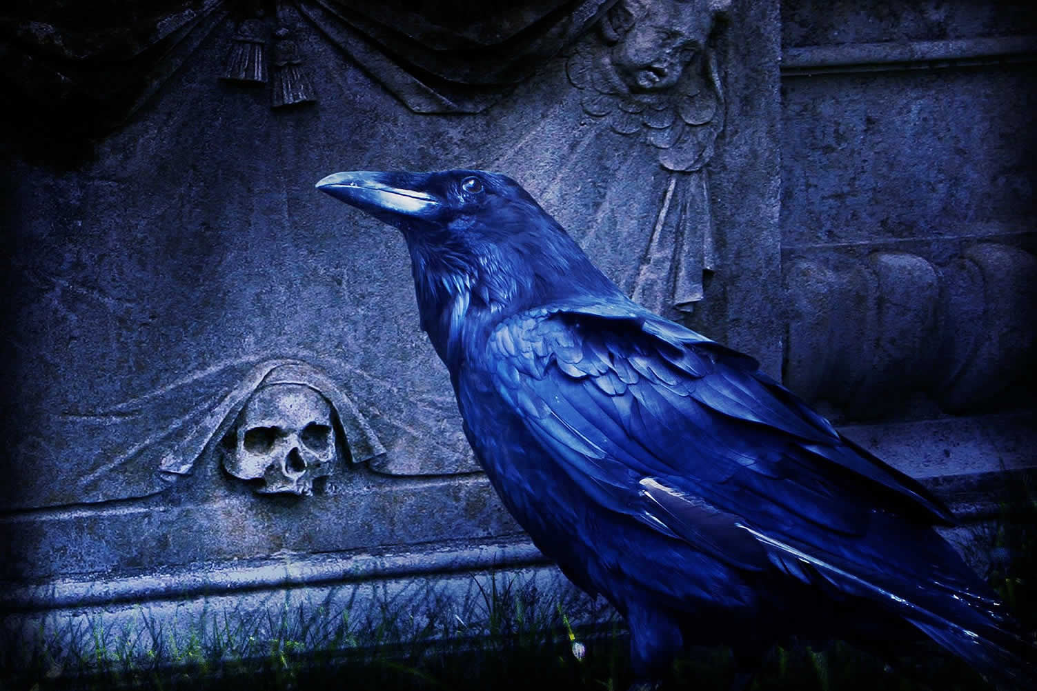 decorating a halloween cemetery