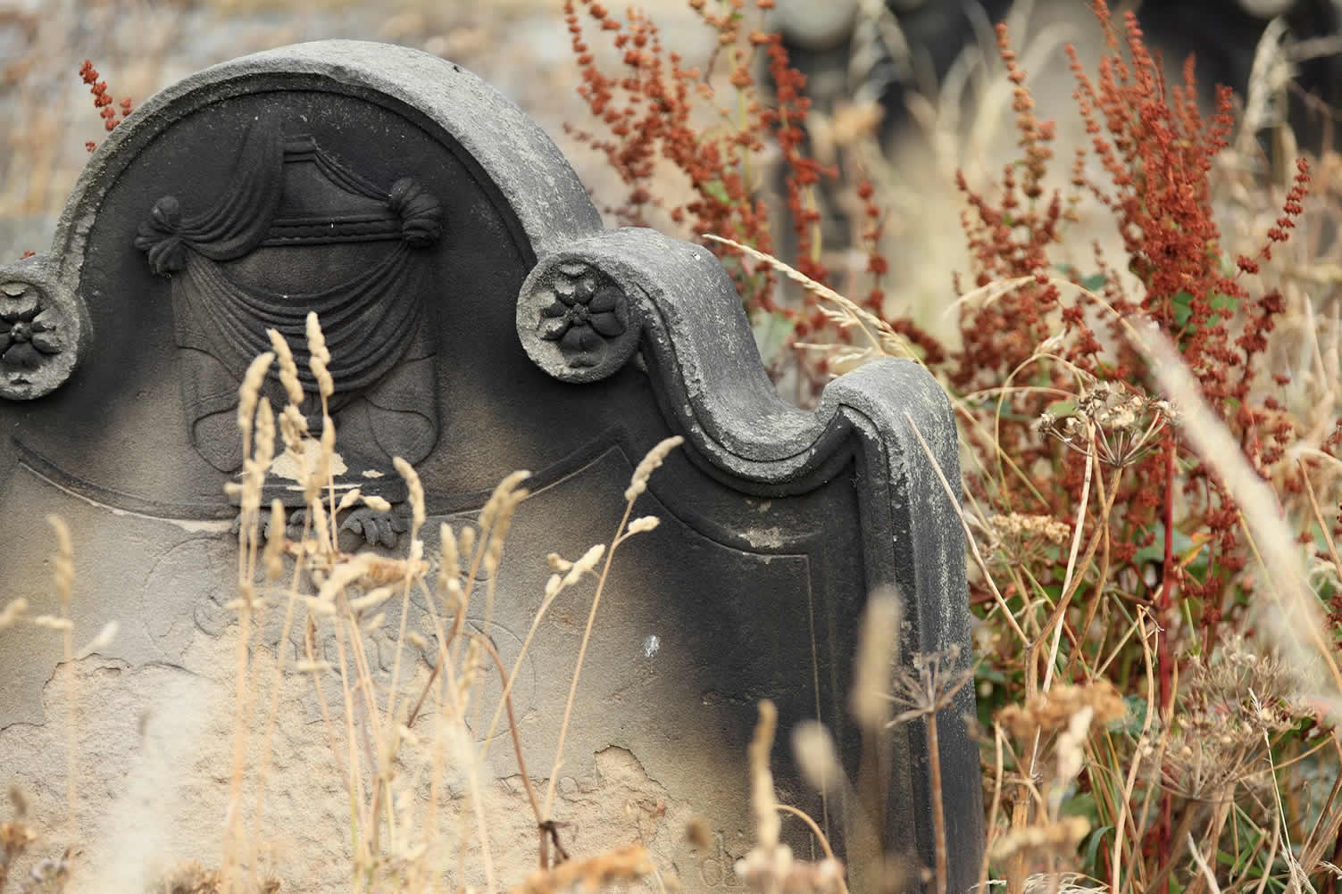 decorating a halloween cemetery